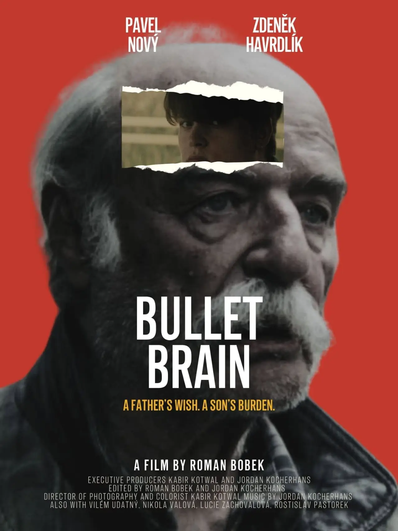Постер до фільму "Bullet Brain"