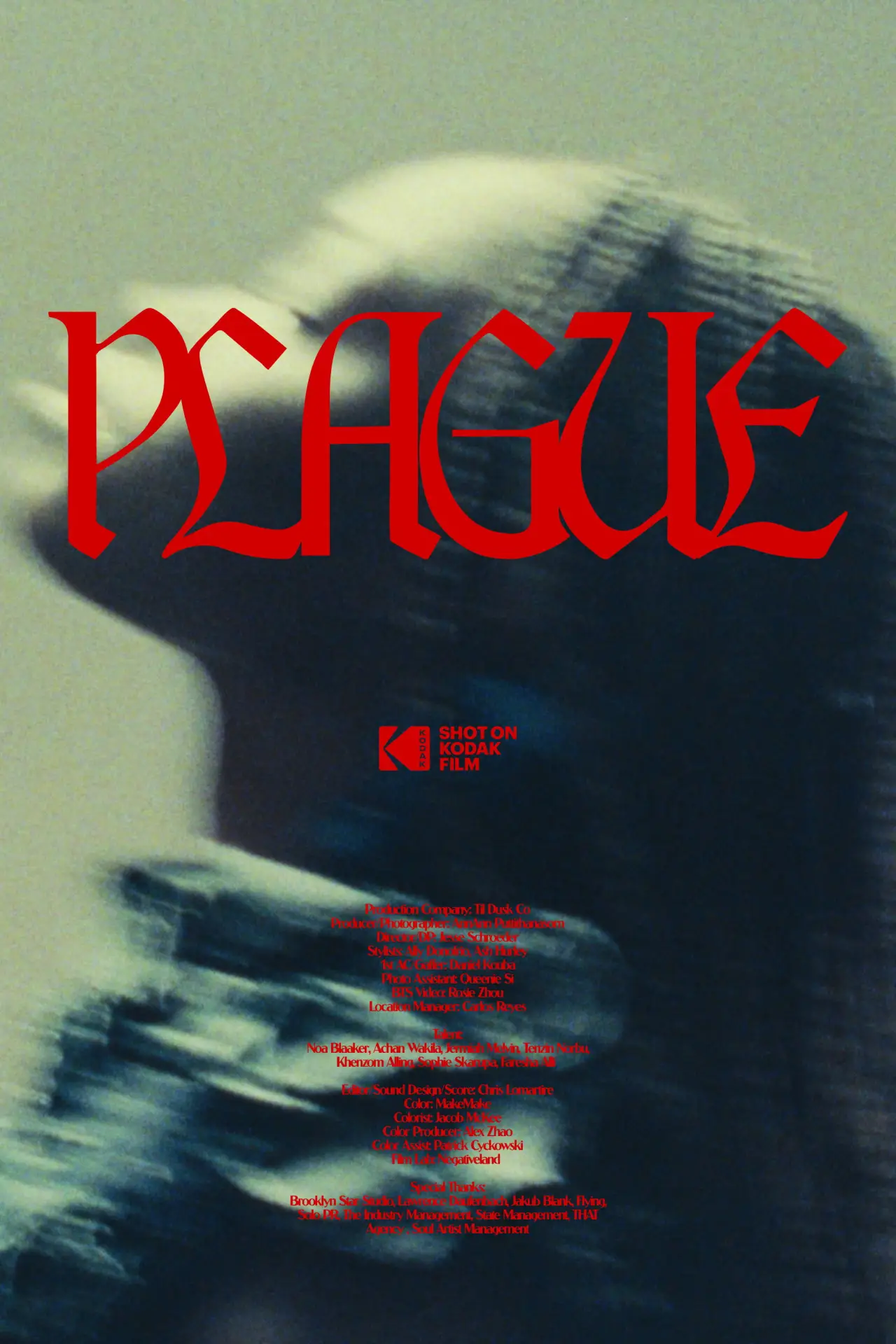 Постер до фільму "Plague"