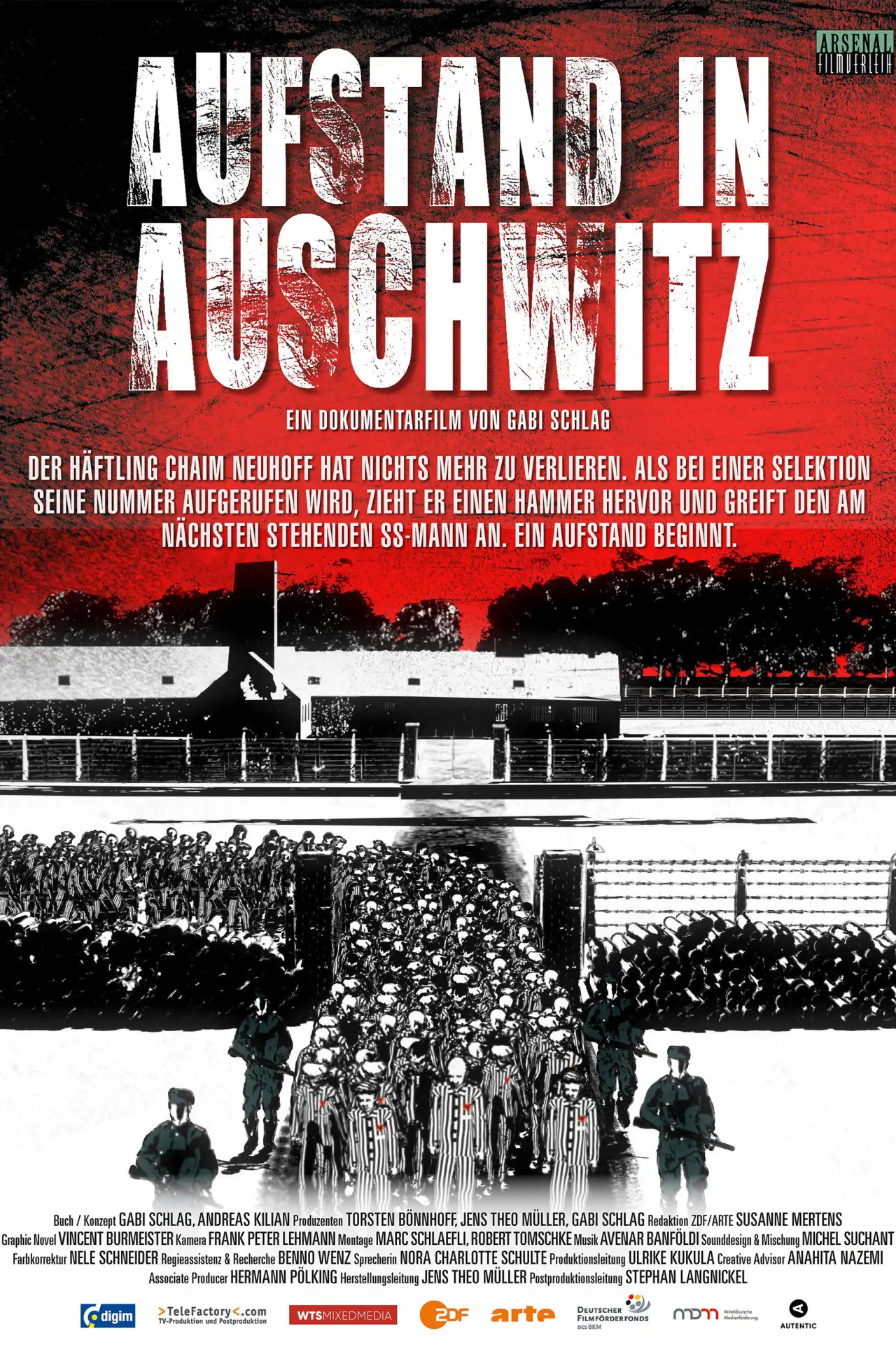 Постер до фільму "Aufstand in Auschwitz"