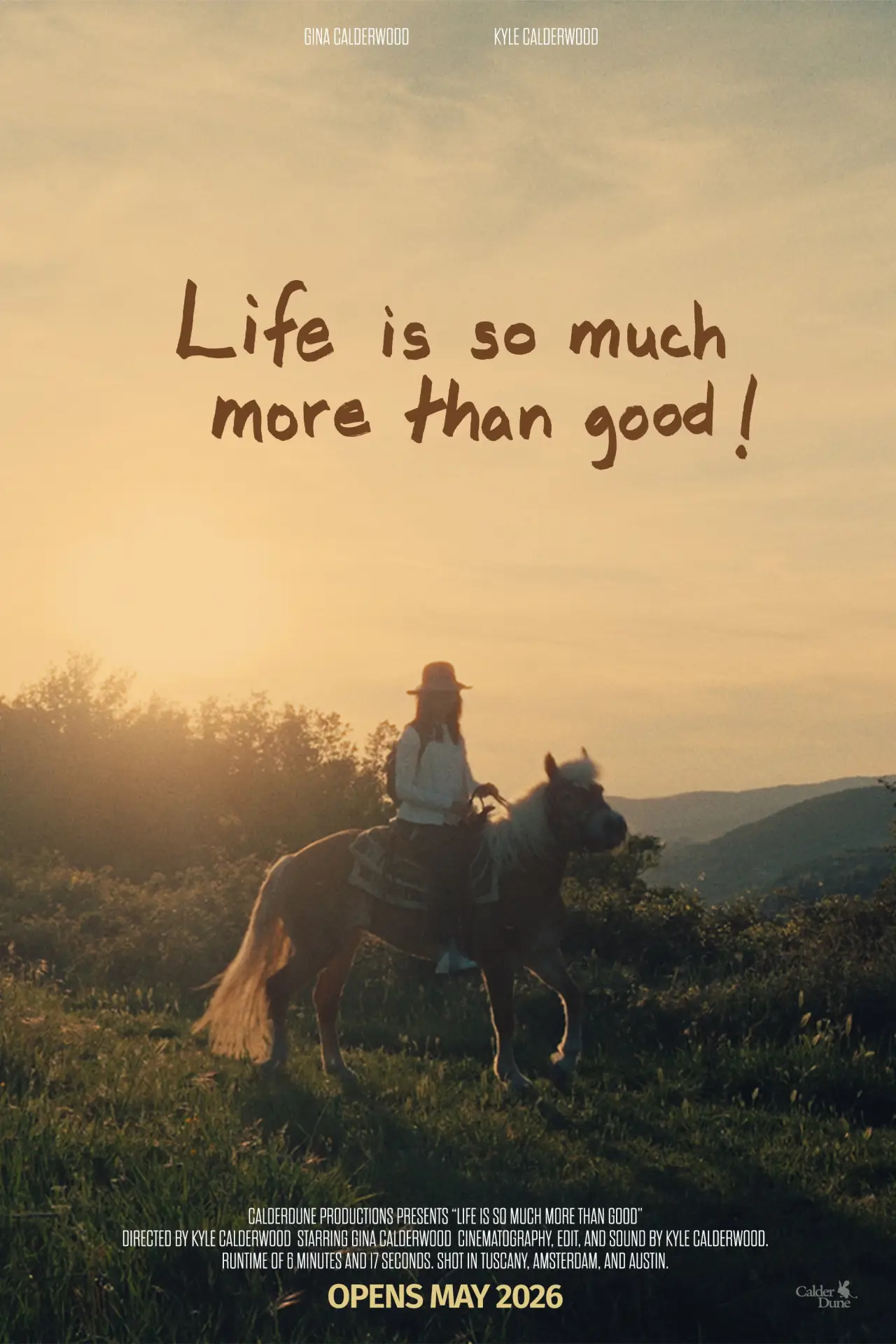 Постер до фільму "Life is so much more than good!"