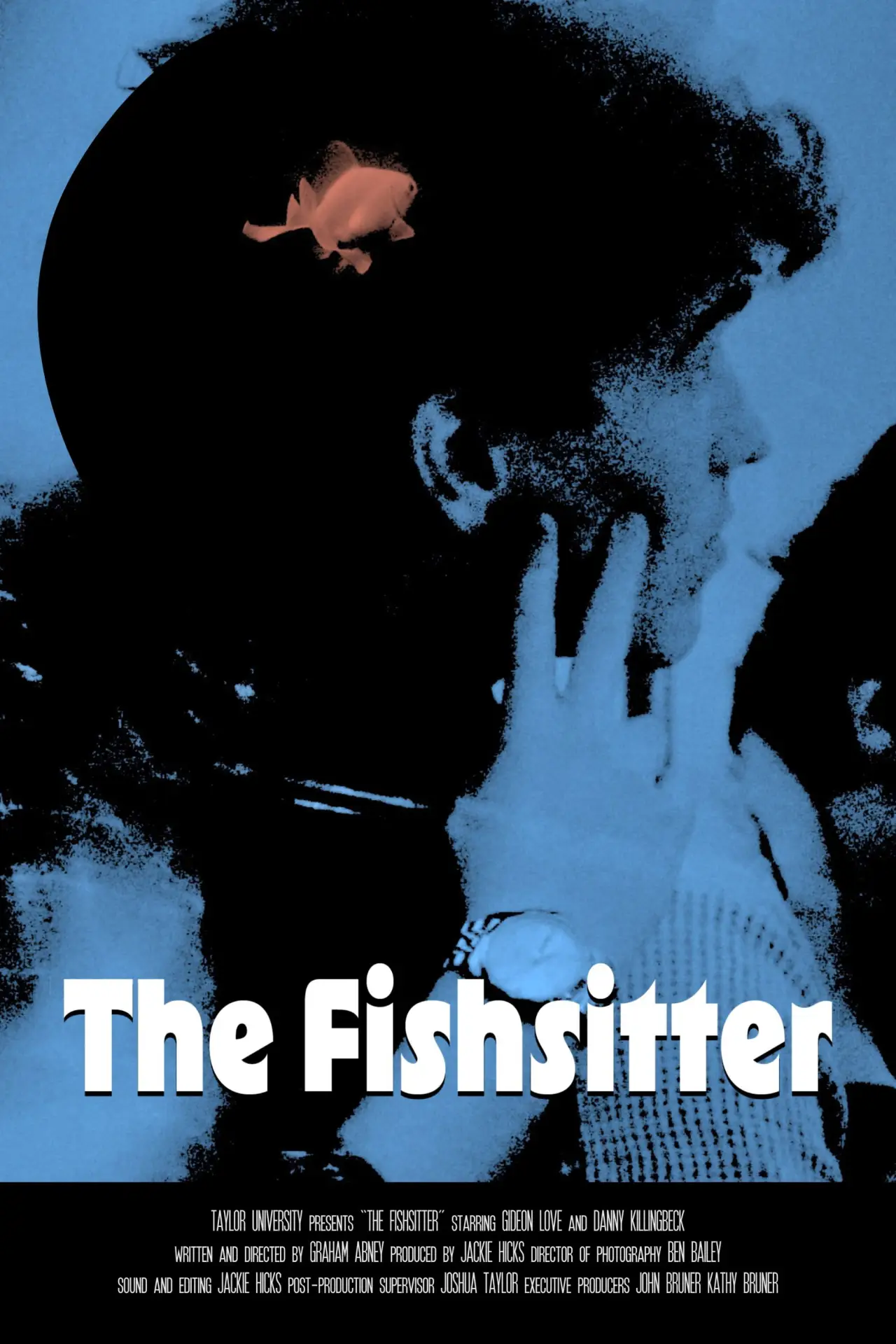 Постер до фільму "The Fishsitter"