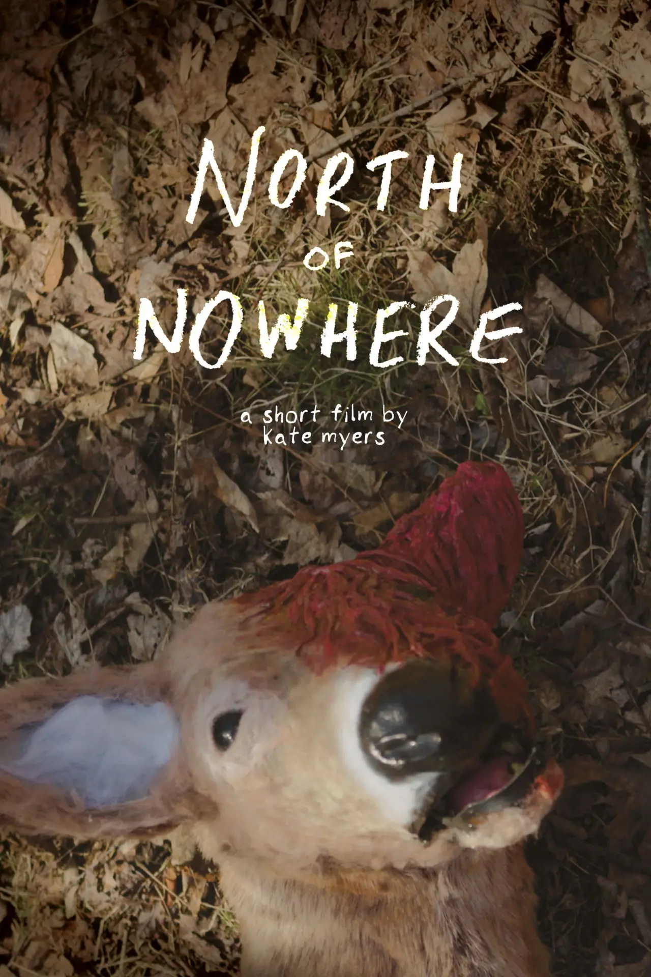 Постер до фільму "North of Nowhere"