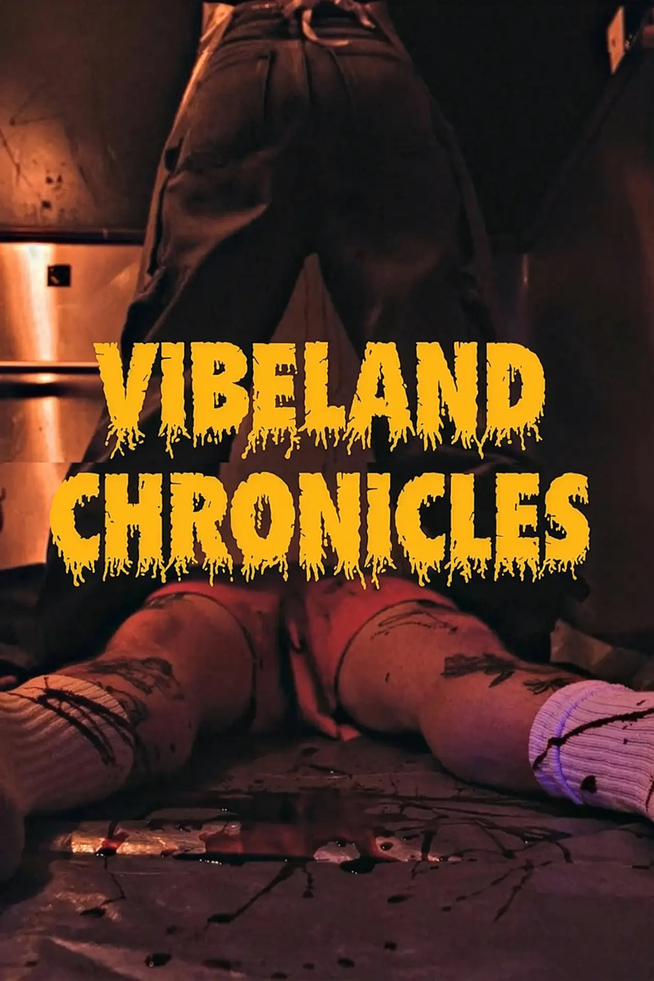 Постер до фільму "Vibeland Chronicles"