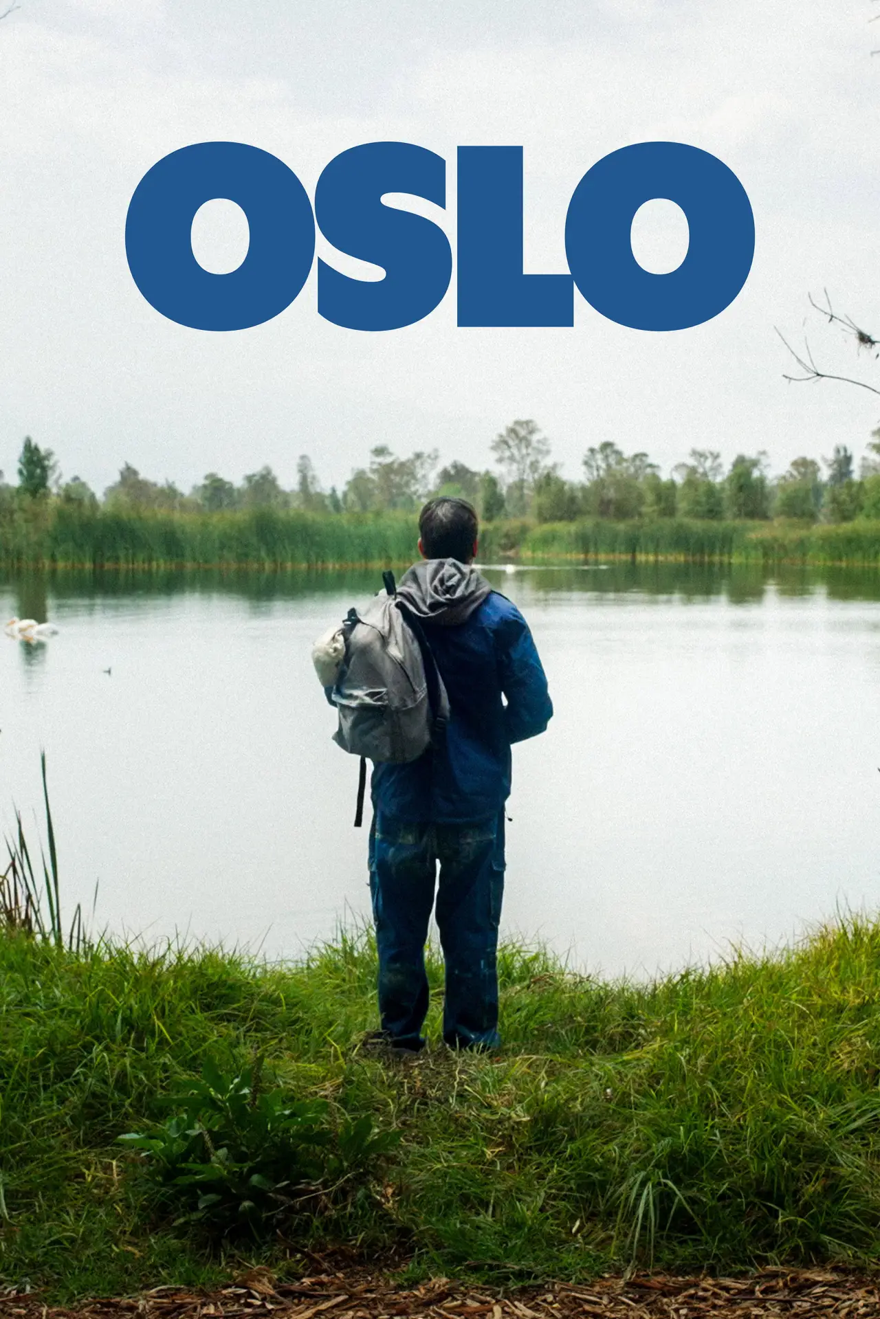 Постер до фільму "Oslo"