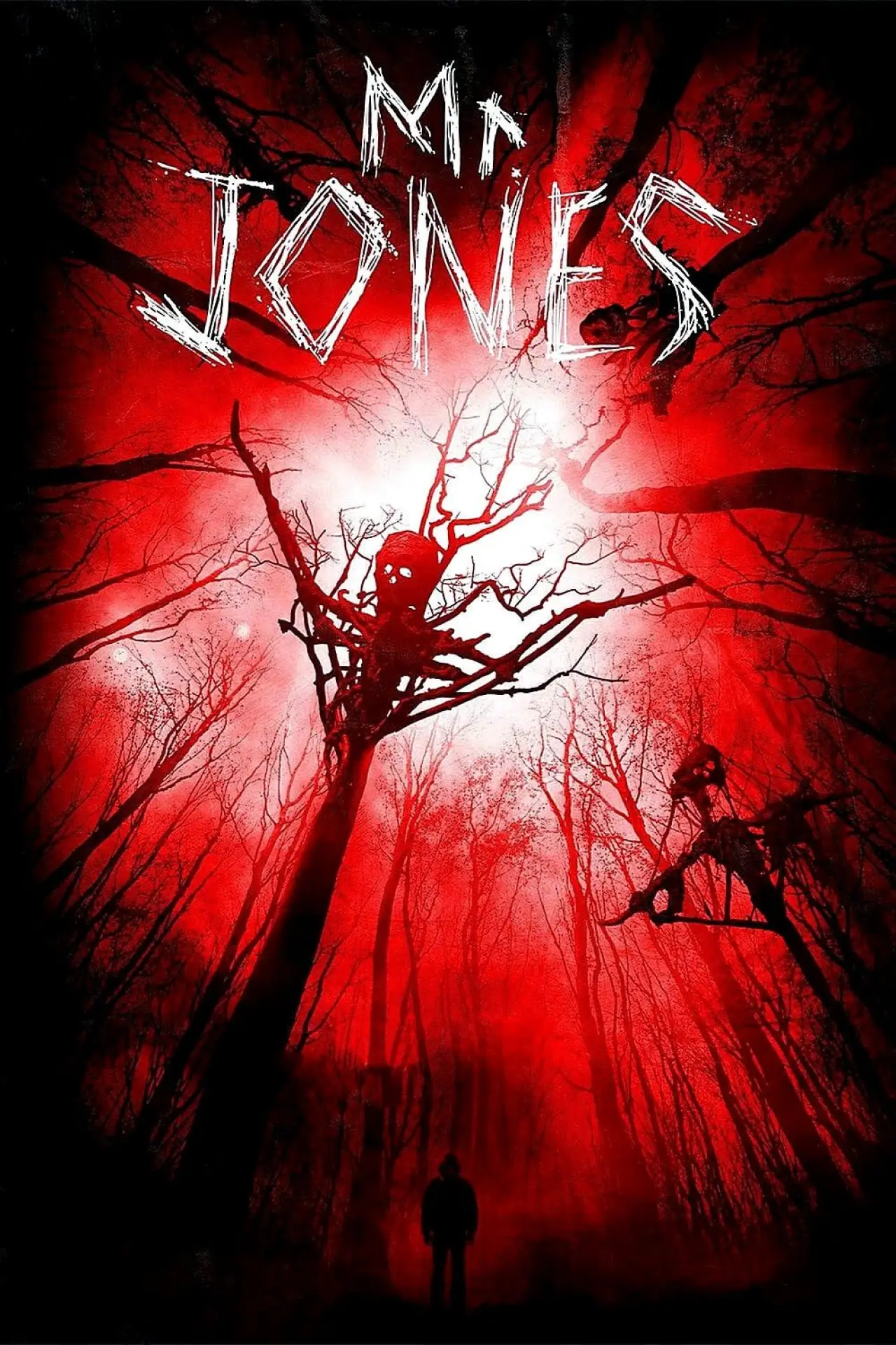 Постер до фільму "Mr. Jones"