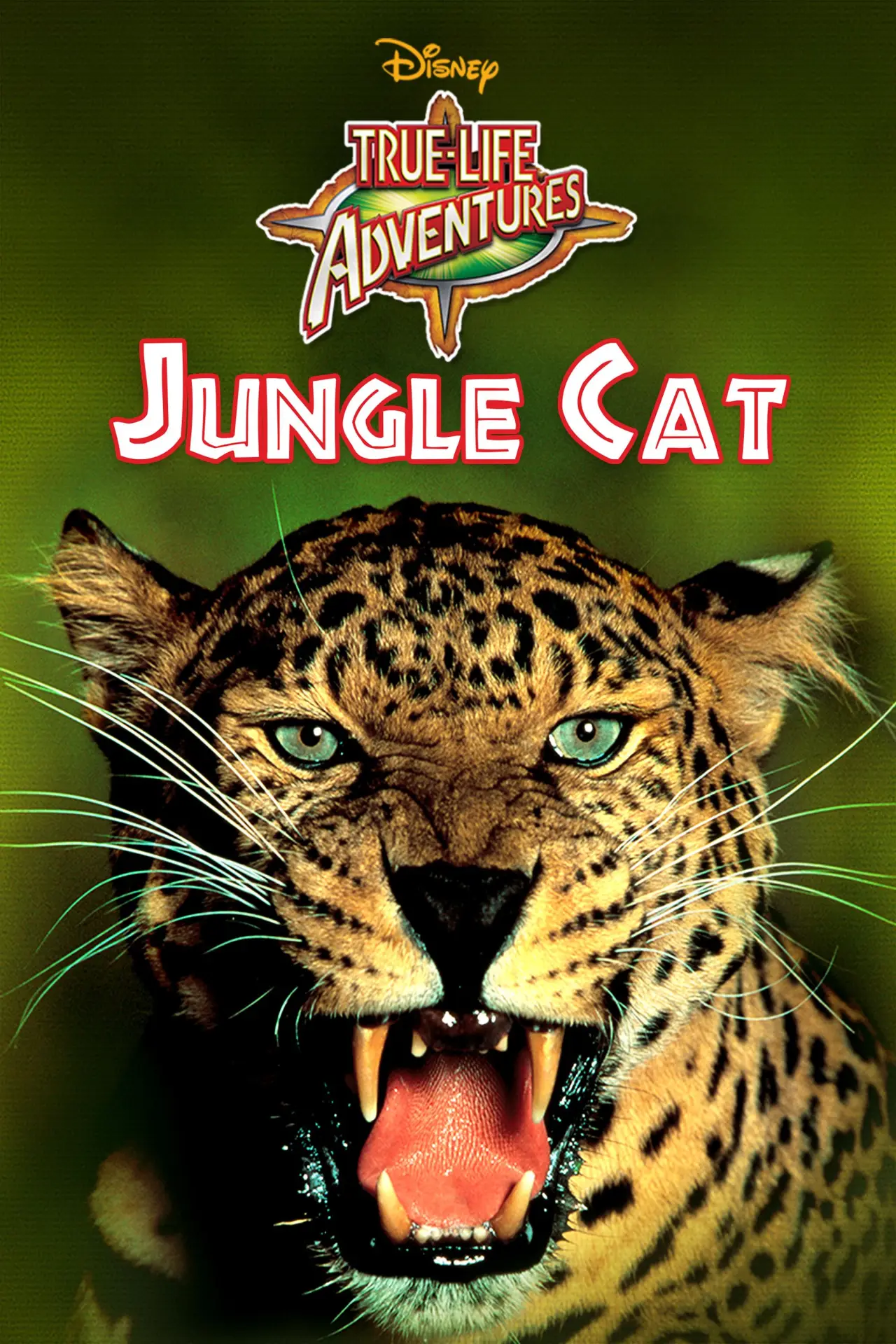 Постер до фільму "Jungle Cat"