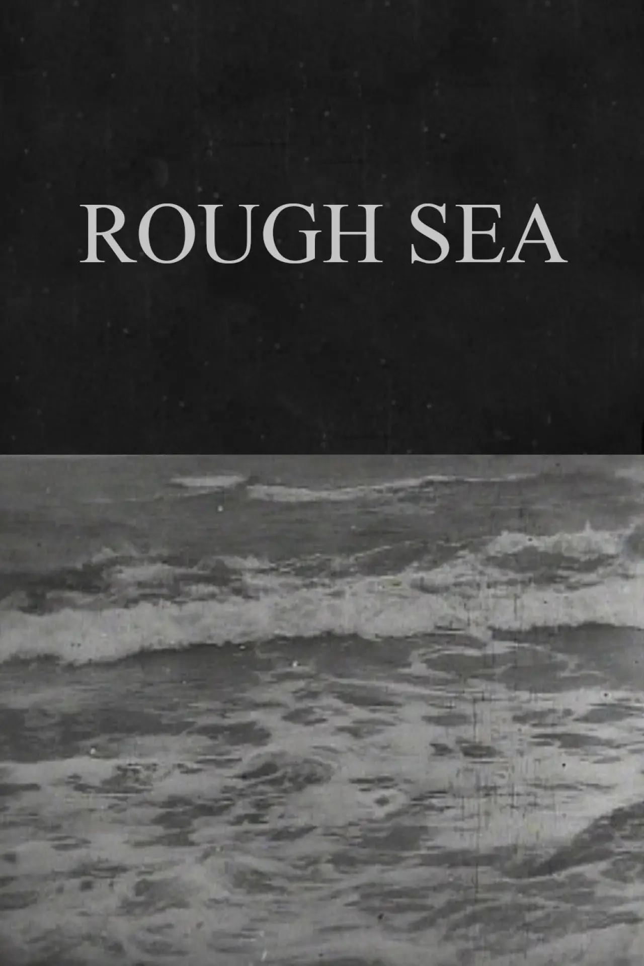 Постер до фільму "Rough Sea"