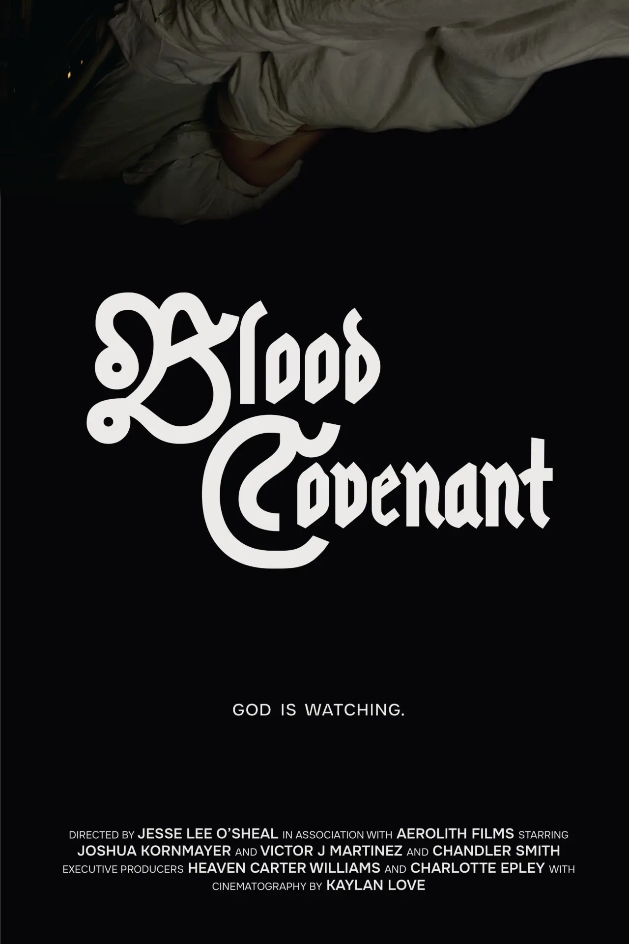 Постер до фільму "Blood Covenant"