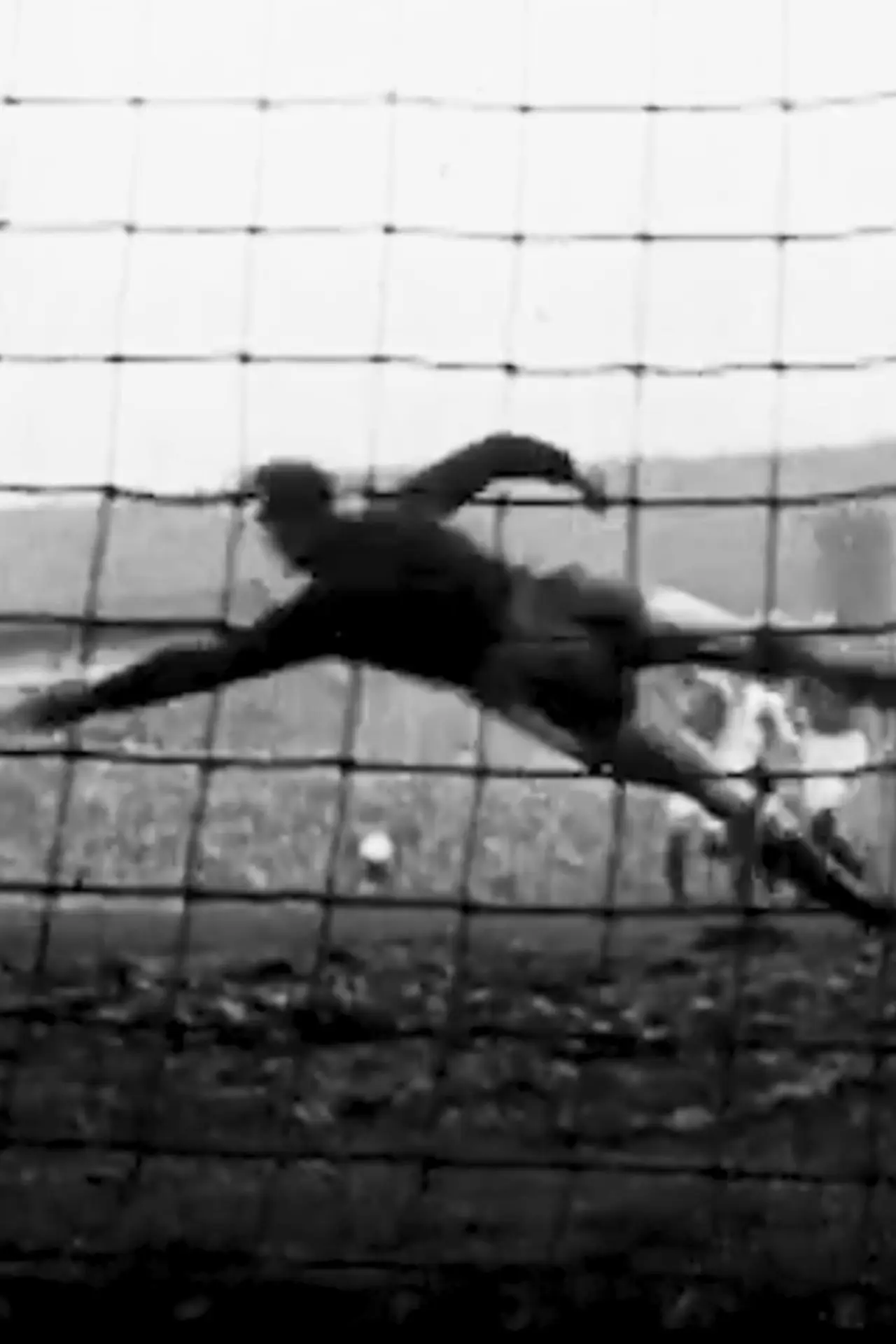 Постер до фільму "Il mio pallone / la mia vita"