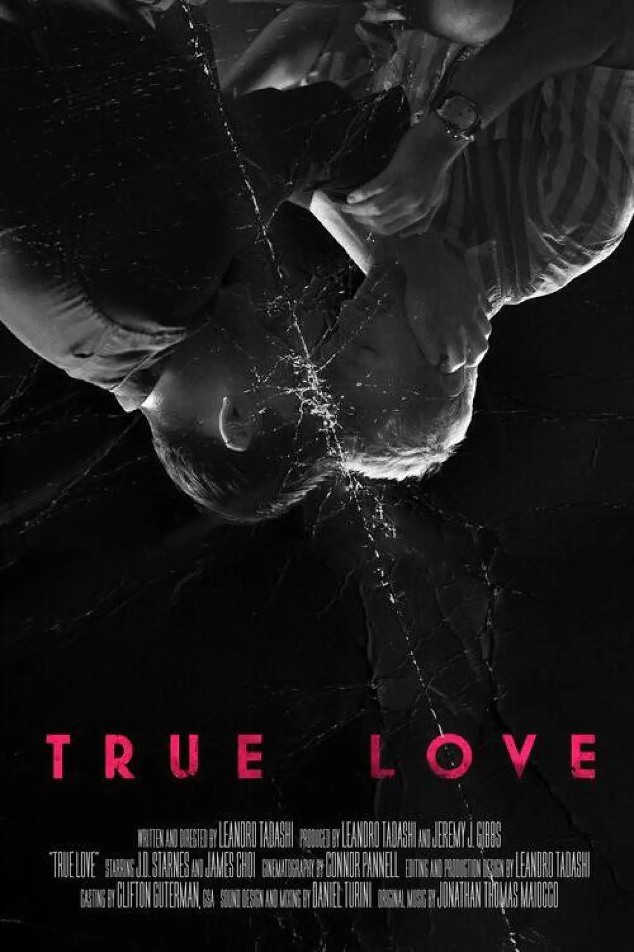 Постер до фільму "True Love"