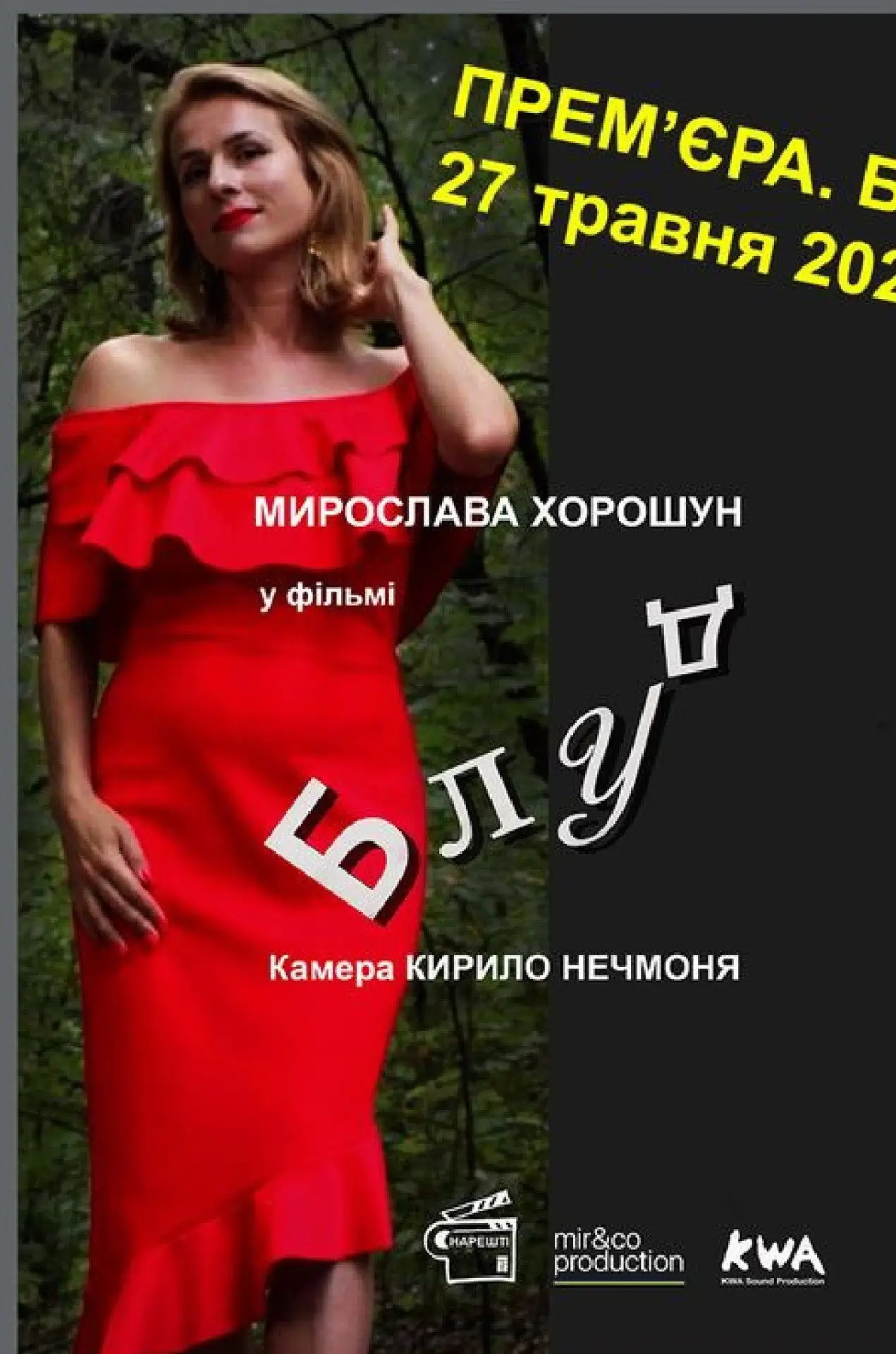 Постер до фільму "Блуд"