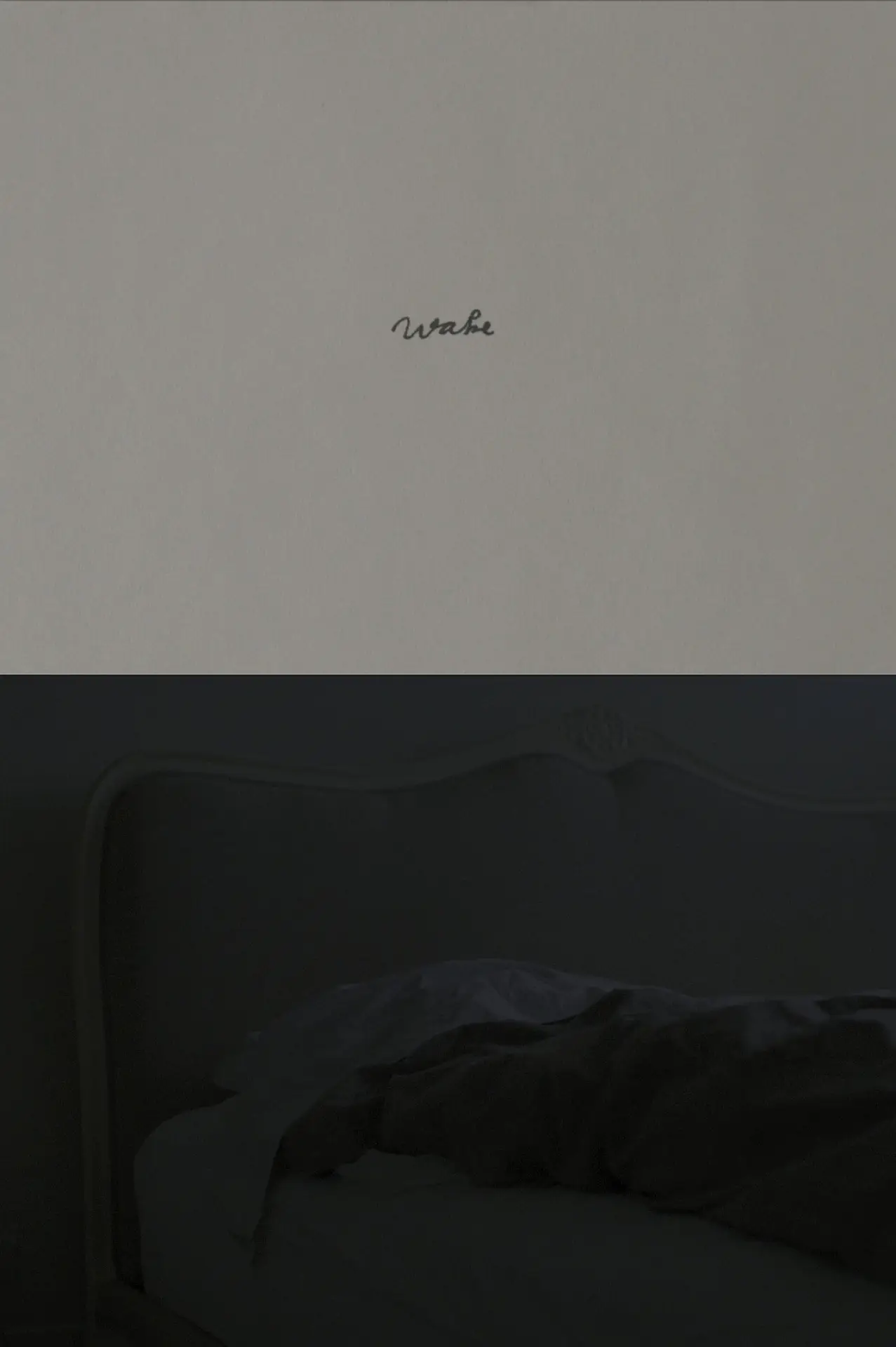 Постер до фільму "Wake"