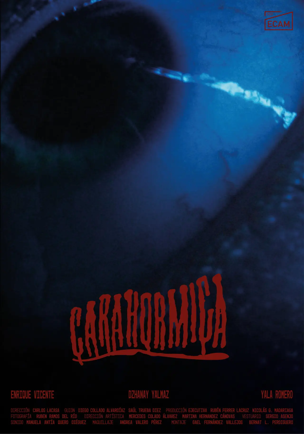 Постер до фільму "Carahormiga"