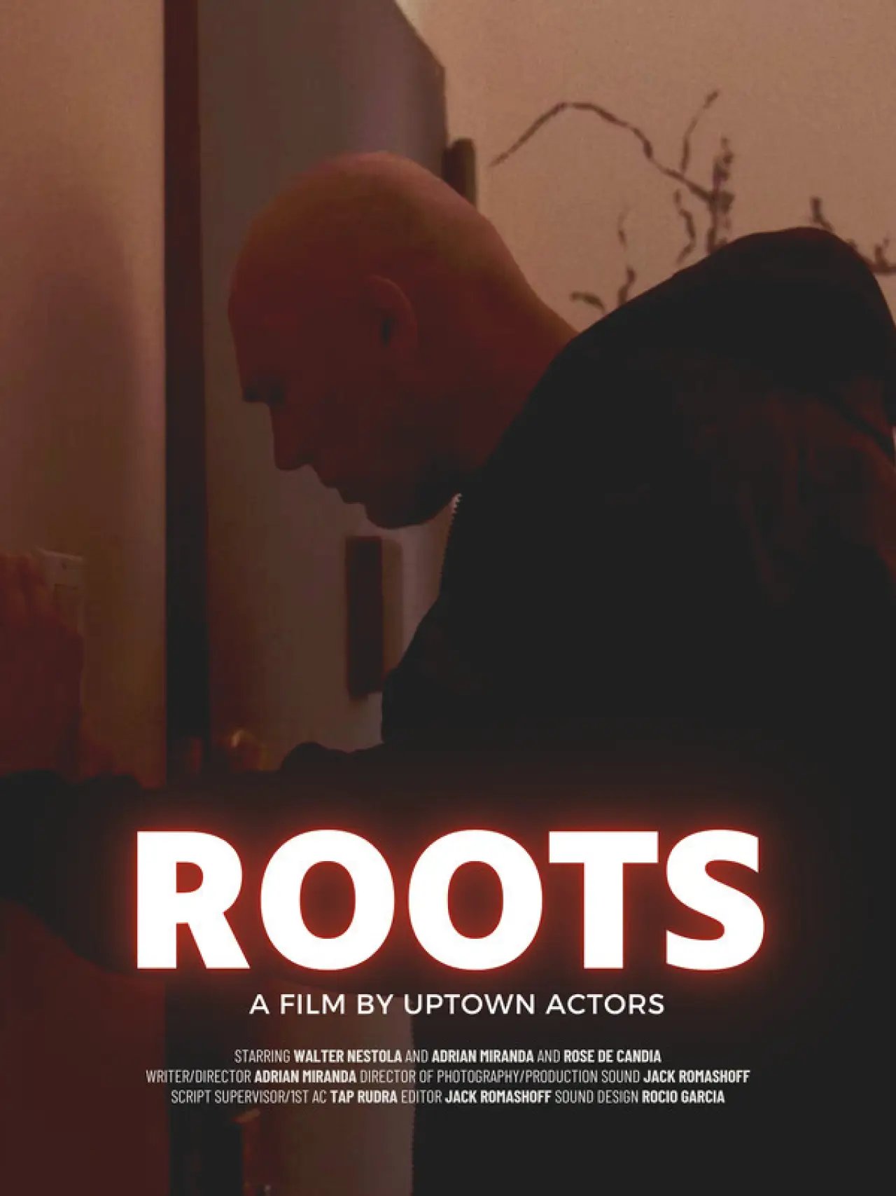 Постер до фільму "Roots"