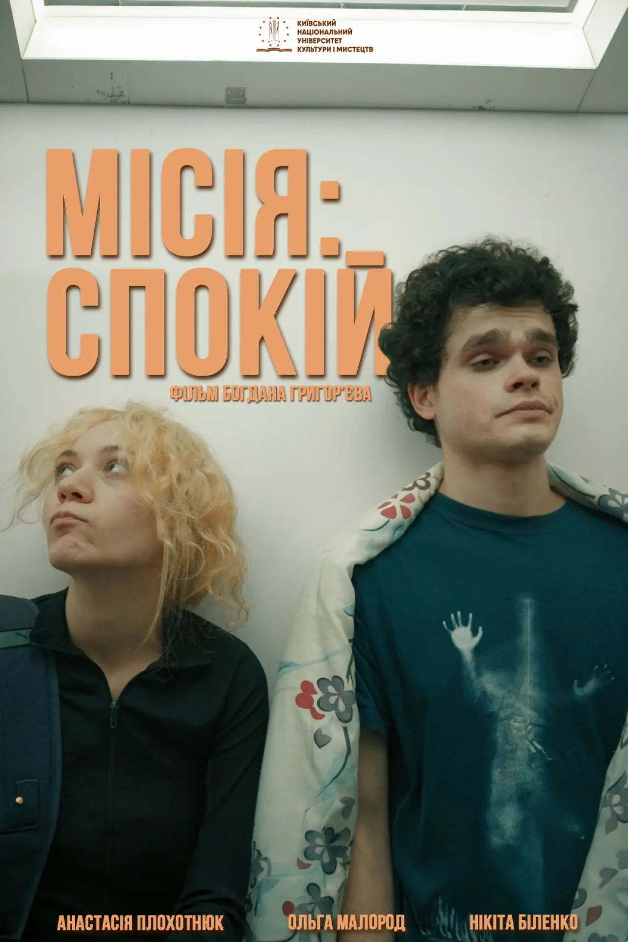 Постер до фільму "Місія: Спокій"