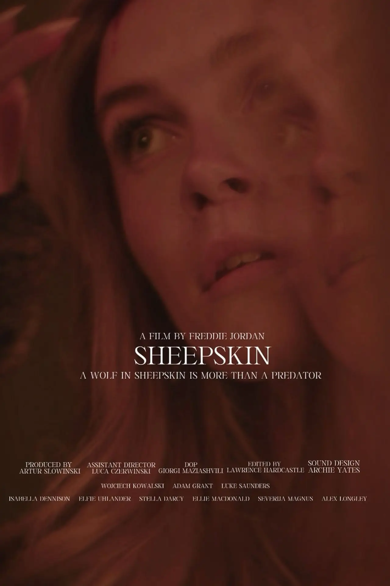 Постер до фільму "Sheepskin"