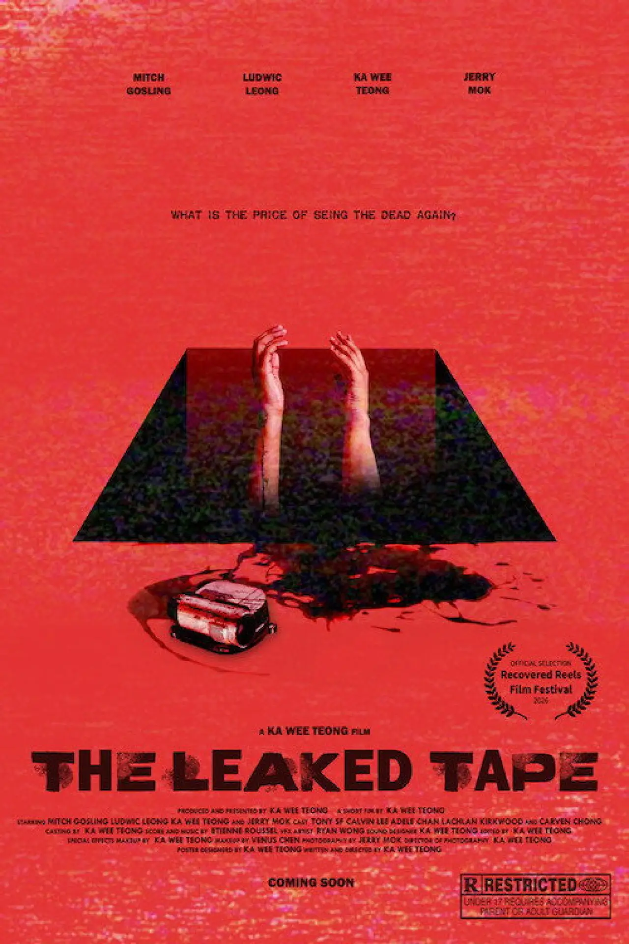 Постер до фільму "The Leaked Tape"