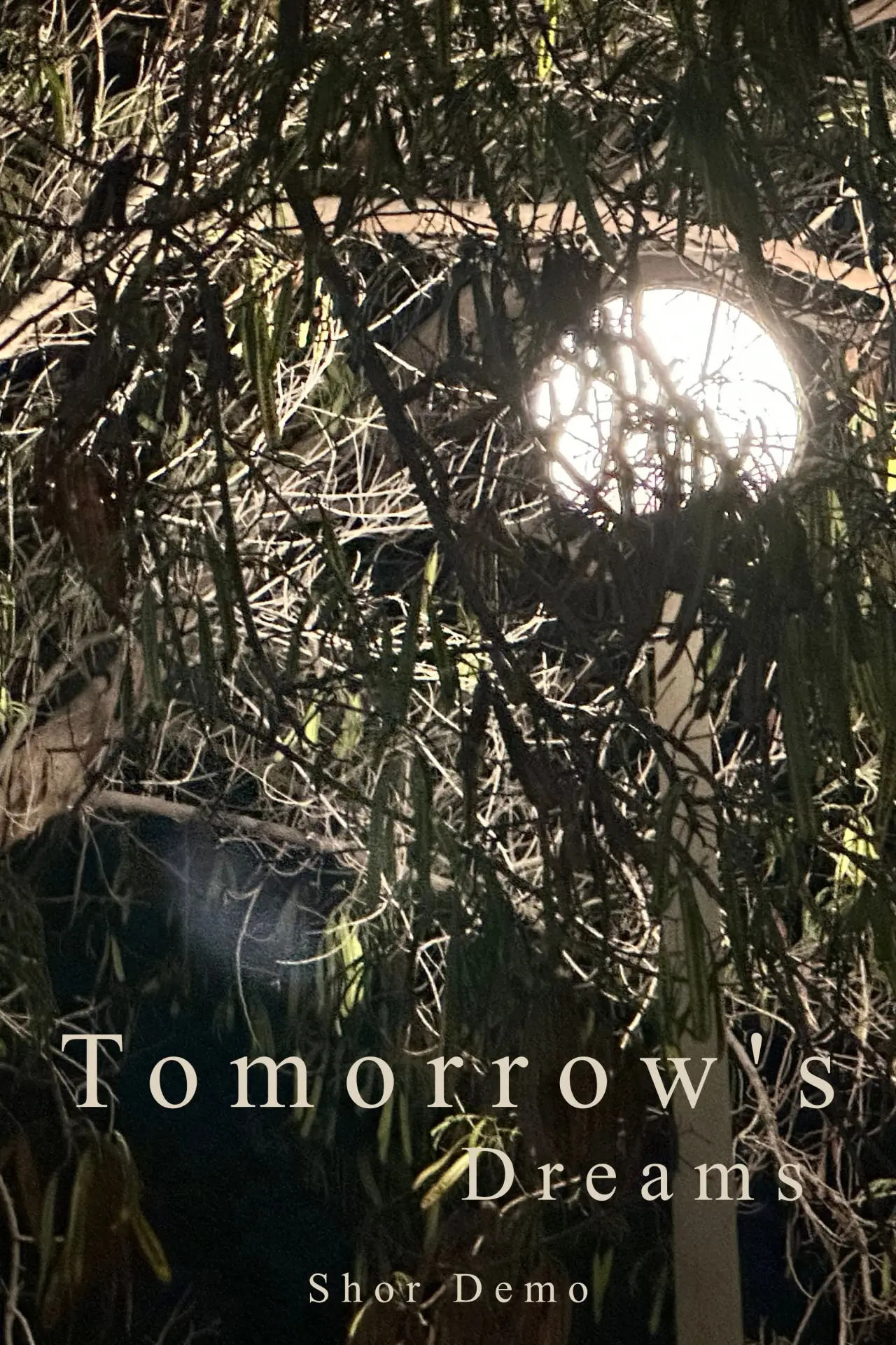 Постер до фільму "Tomorrow