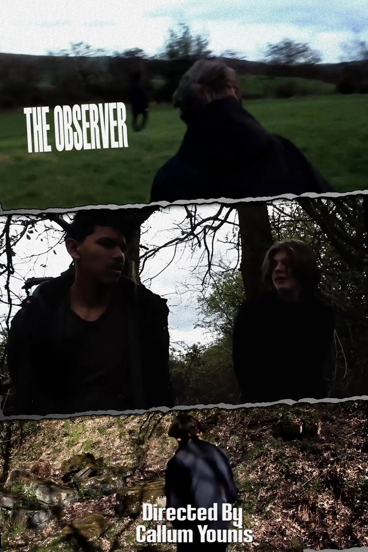 Постер до фільму "The Observer"