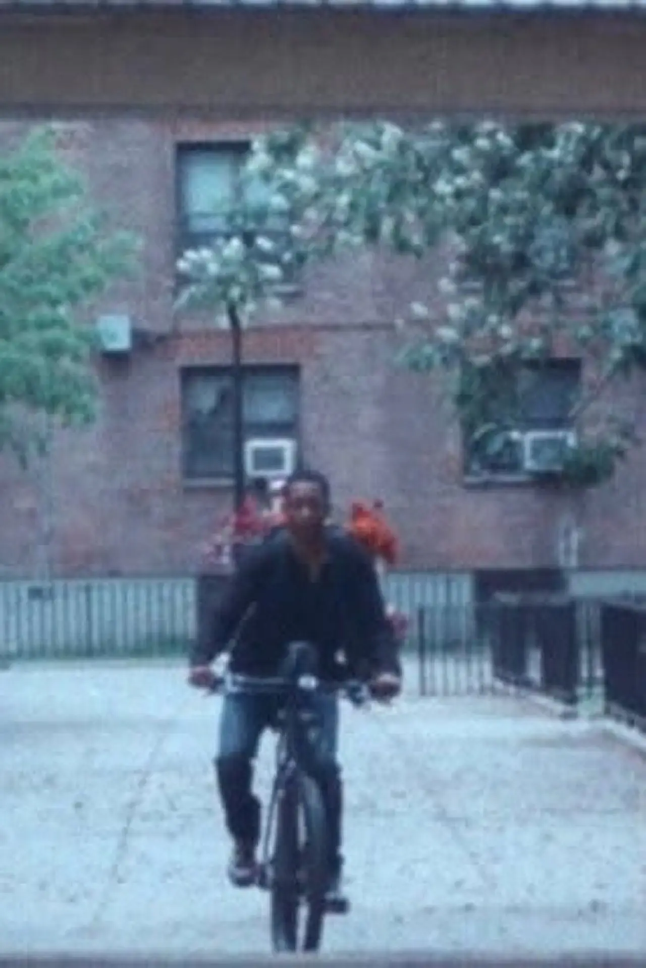 Постер до фільму "Road Runner"