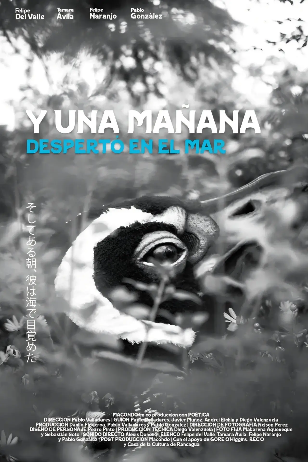 Постер до фільму "Y una mañana despertó en el mar"