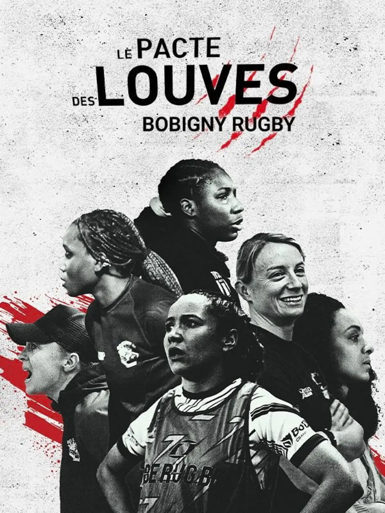 Постер до фільму "Le pacte des Louves"
