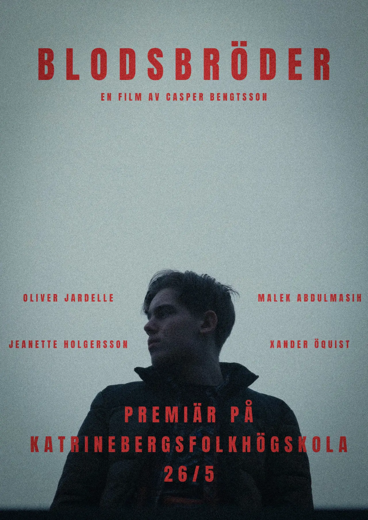 Постер до фільму "Blodsbröder"