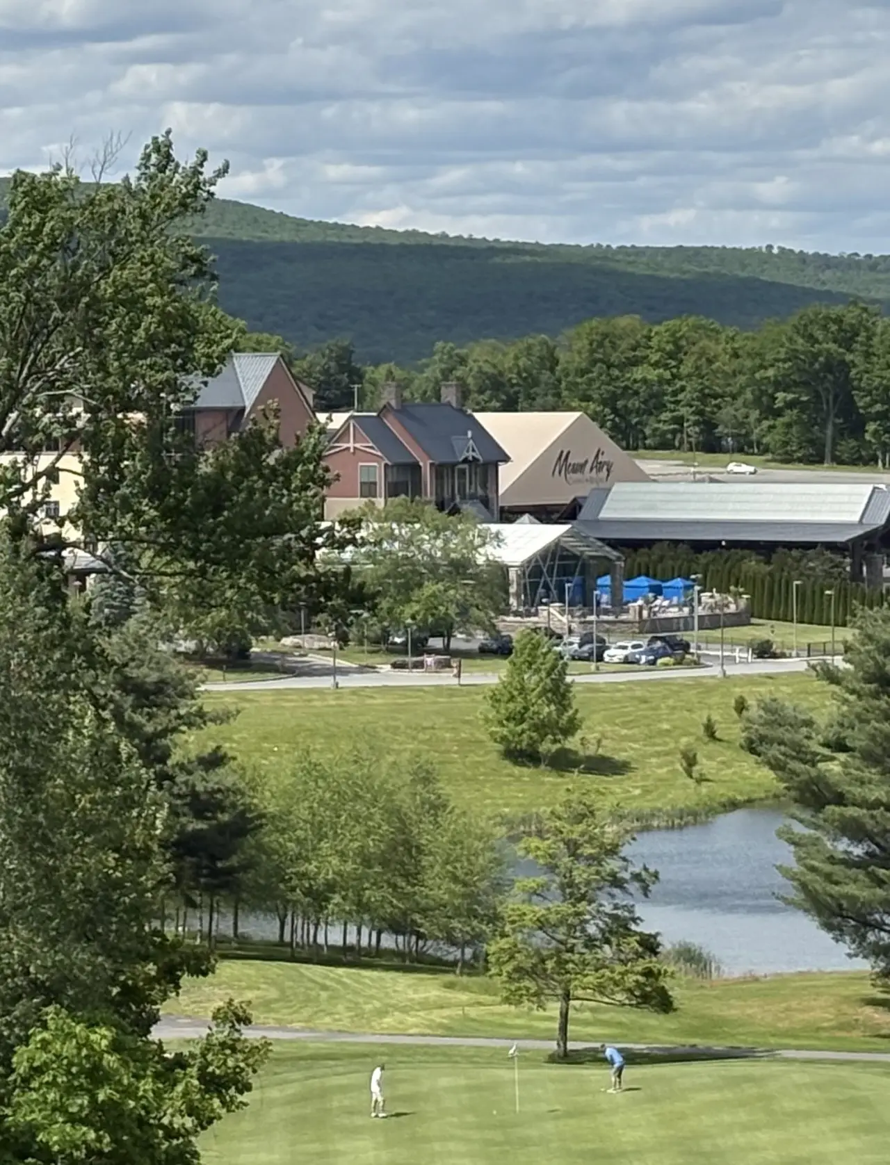 Постер до фільму "Mount Airy Hole Nine"