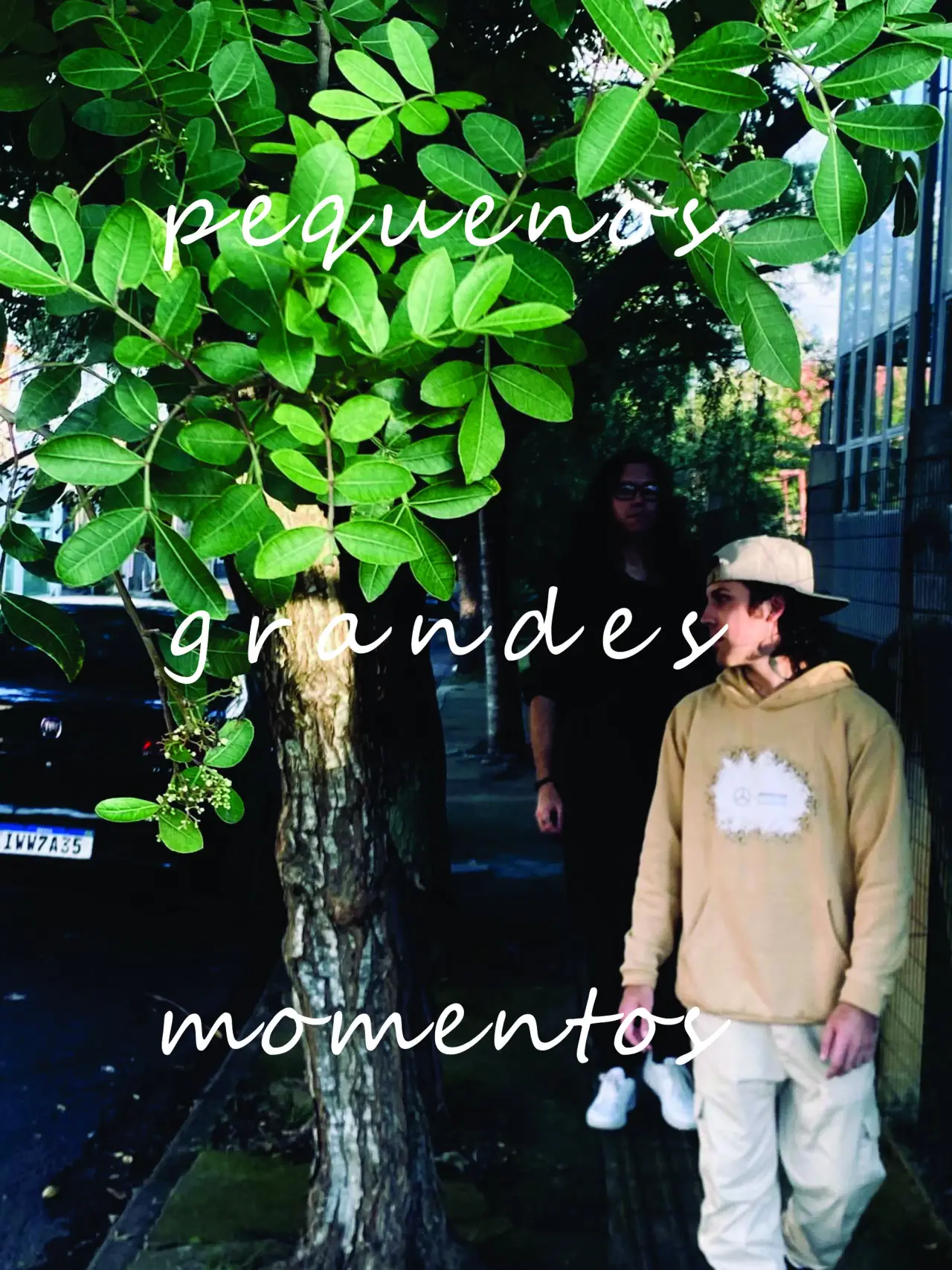 Постер до фільму "pequenos grandes momentos"