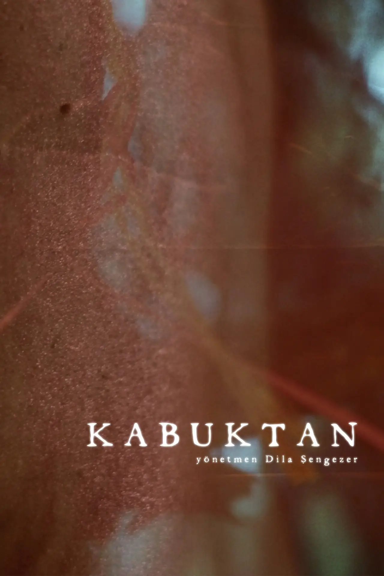 Постер до фільму "Kabuktan"