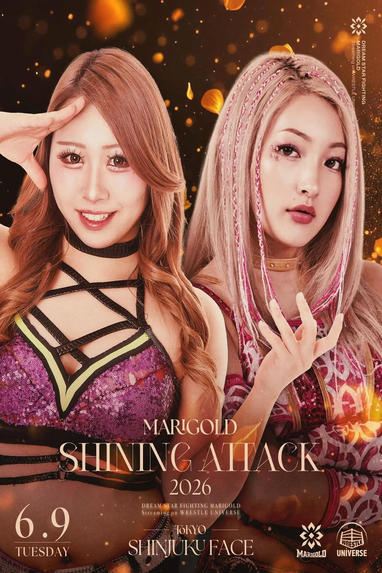 Постер до фільму "Marigold Shining Attack 2026 ~ Day 11"