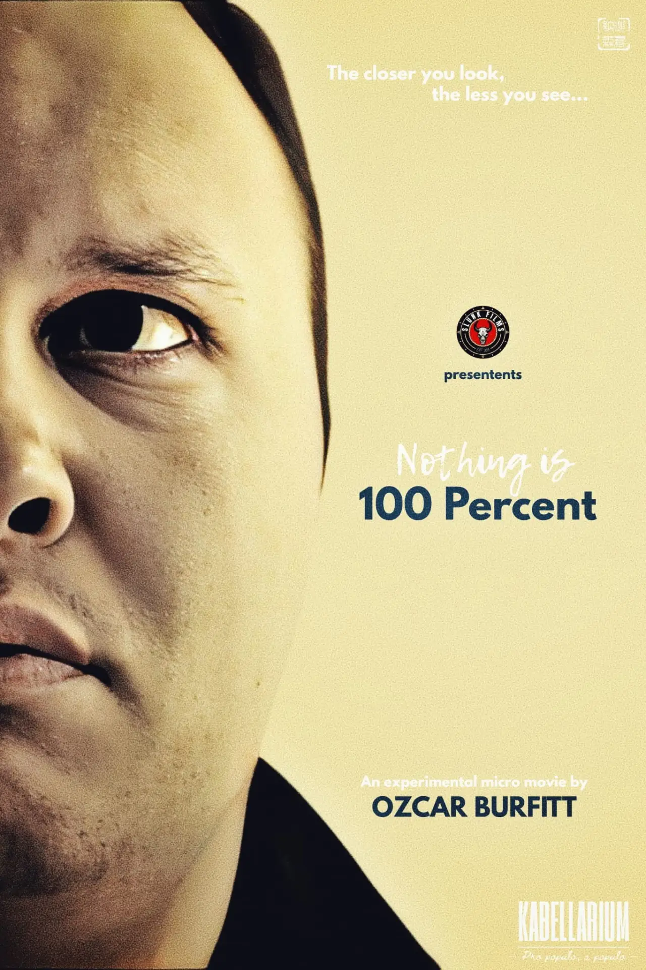 Постер до фільму "Ingenting är 100 procent"