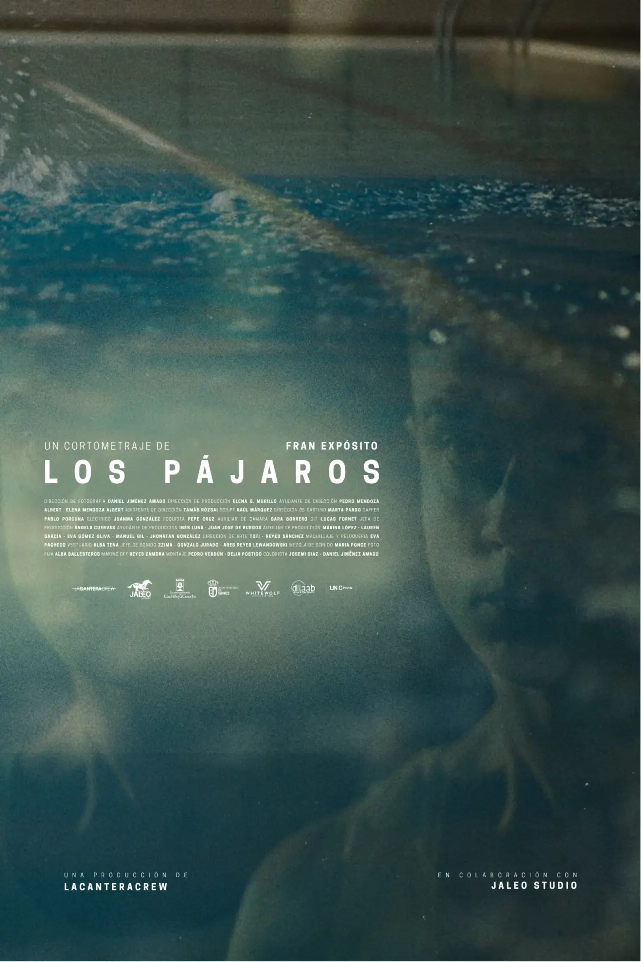Постер до фільму "Los pájaros"