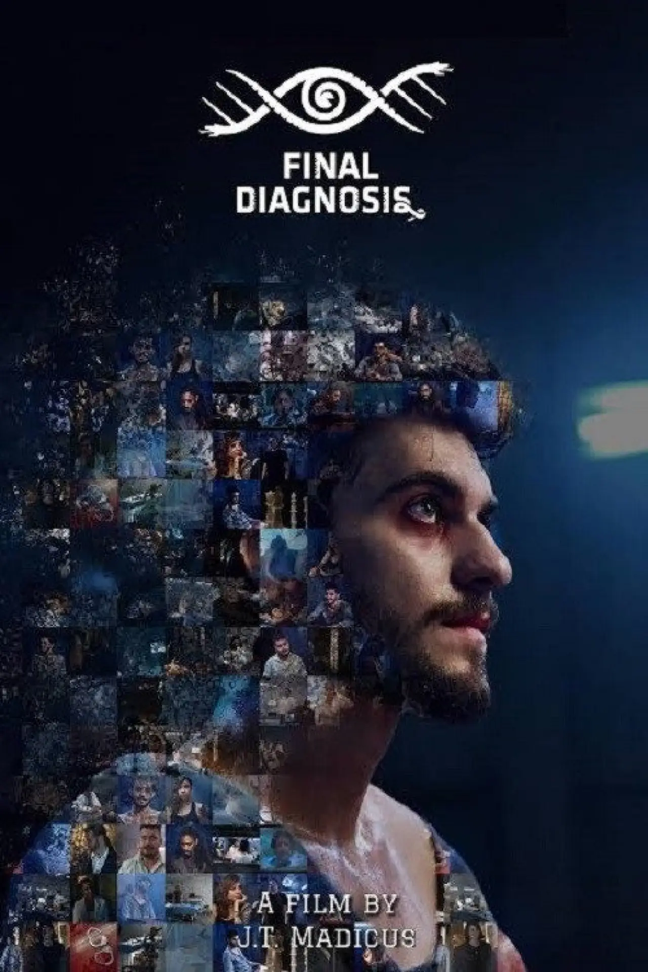 Постер до фільму "Final Diagnosis"