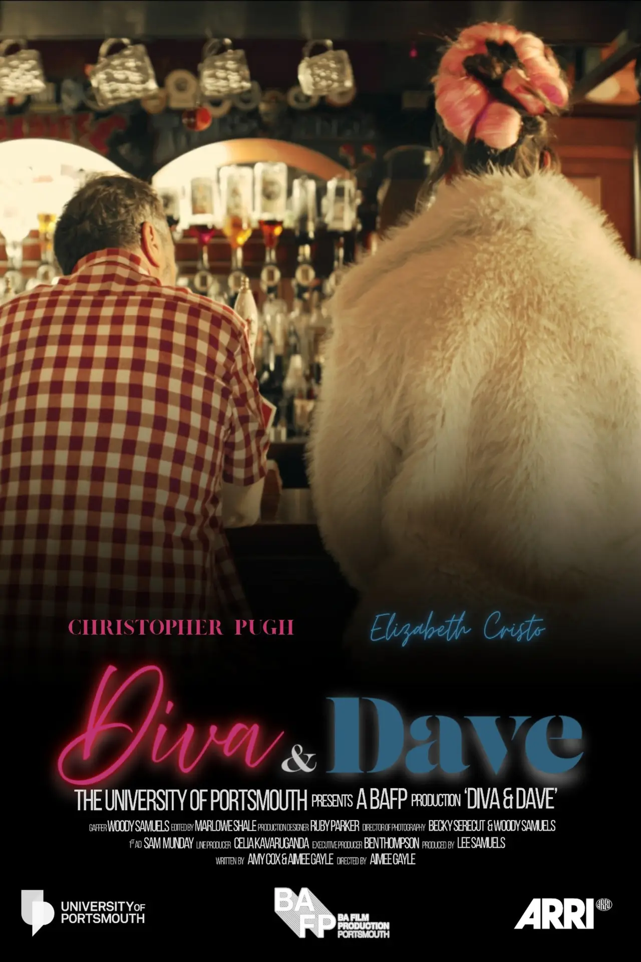 Постер до фільму "Diva and Dave"