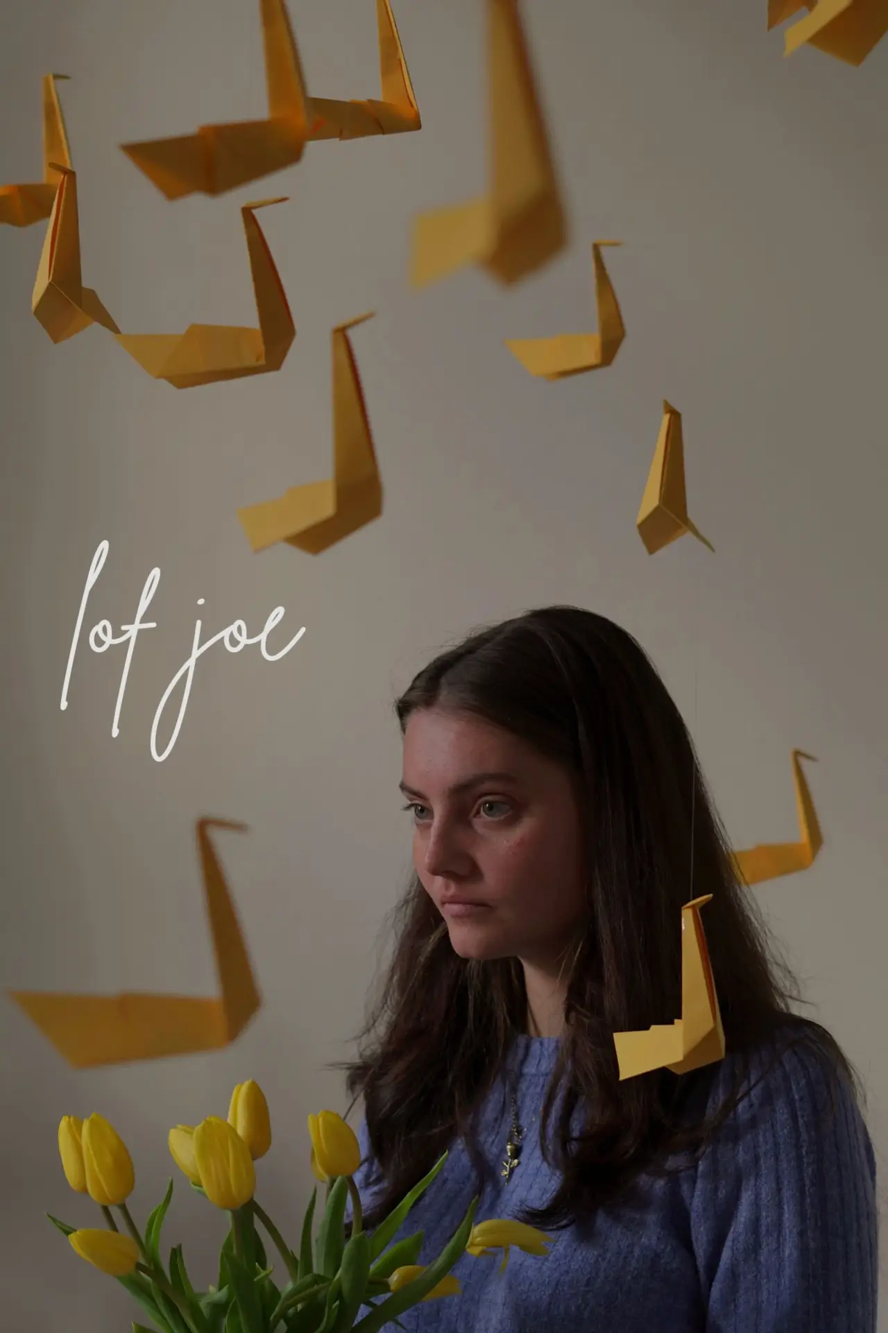 Постер до фільму "Lof Joe"