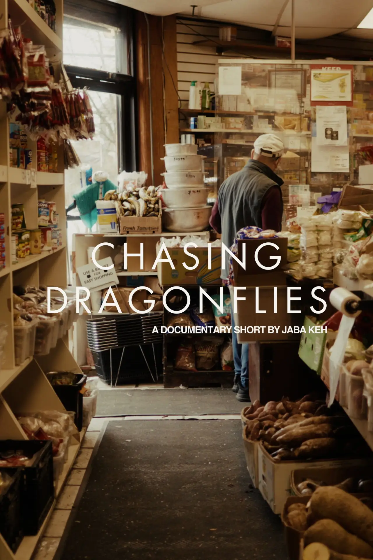 Постер до фільму "Chasing Dragonflies"