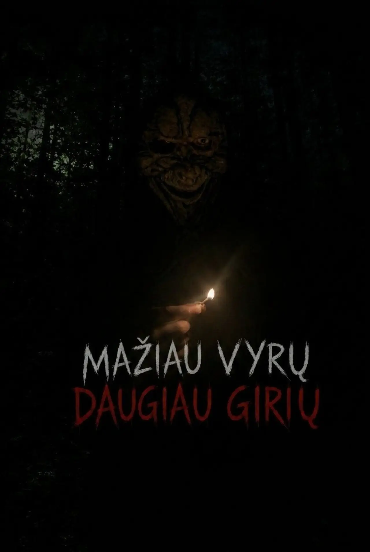 Постер до фільму "Mažiau vyrų, daugiau girių"