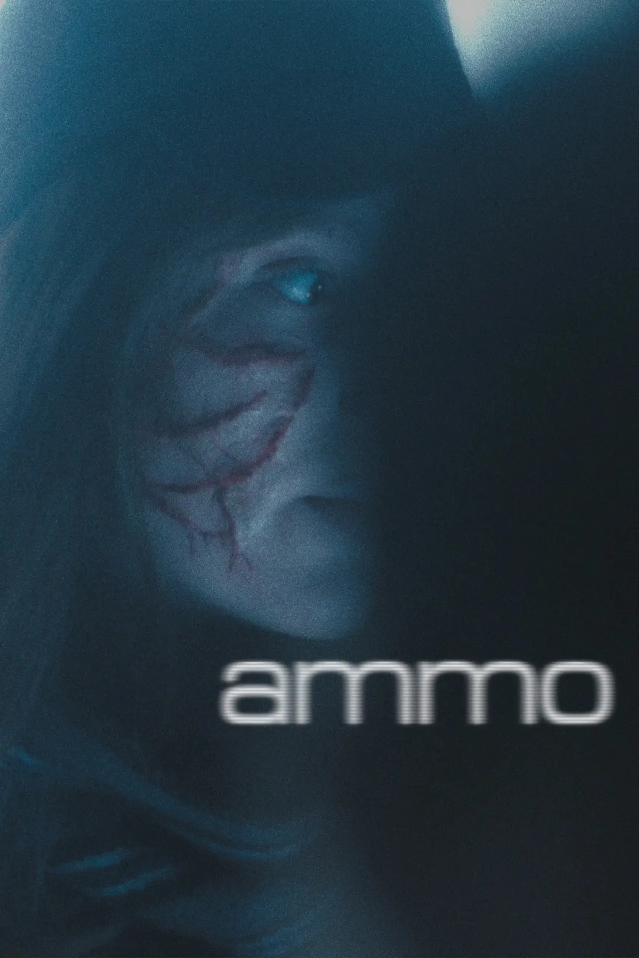 Постер до фільму "ammo"