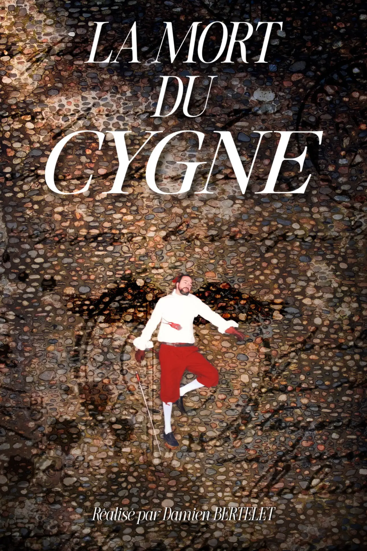 Постер до фільму "La Mort du Cygne"