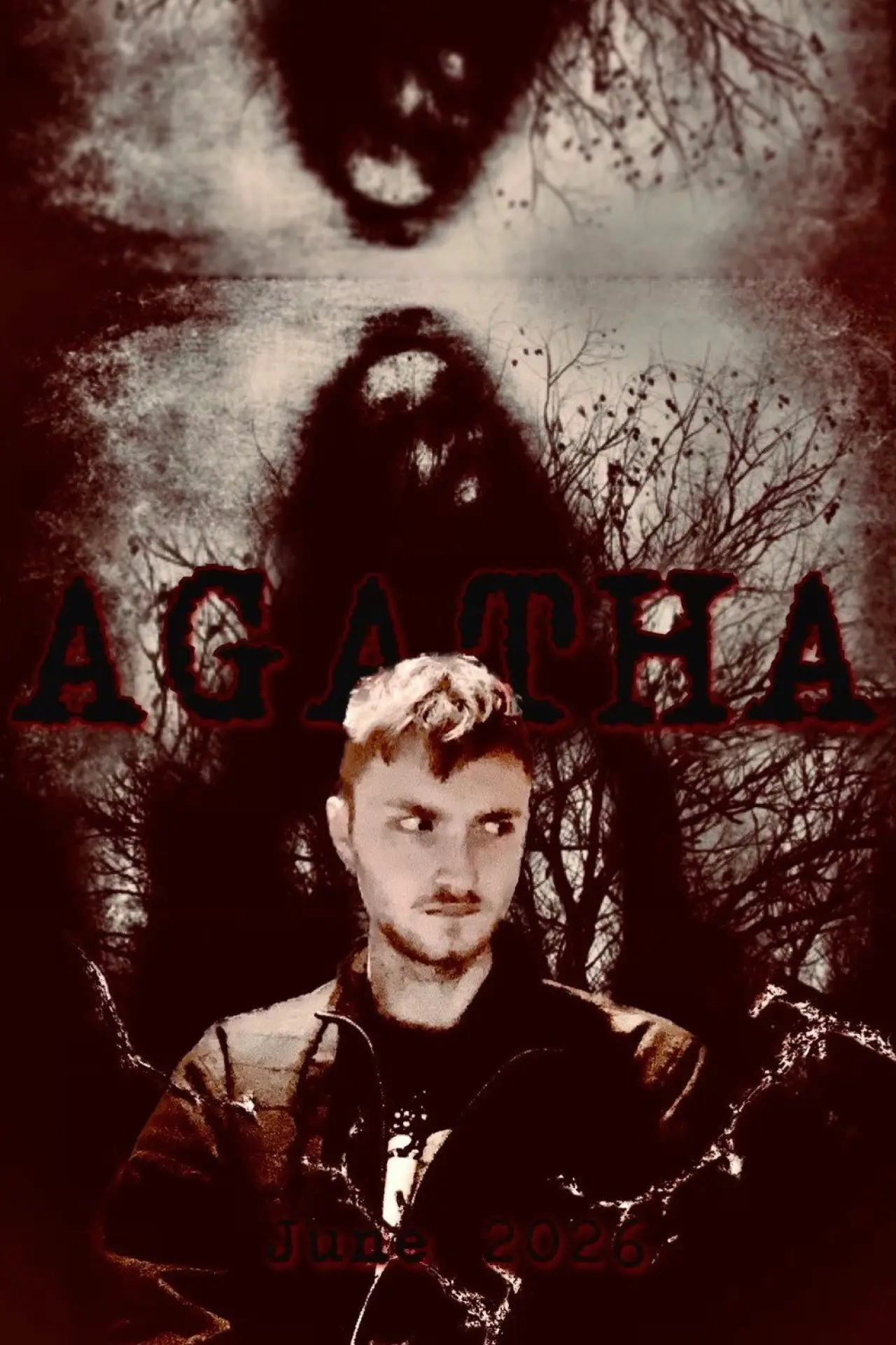 Постер до фільму "Agatha"