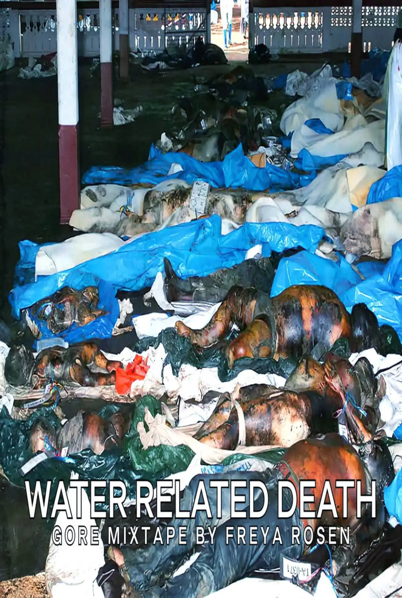 Постер до фільму "Water Related Death"