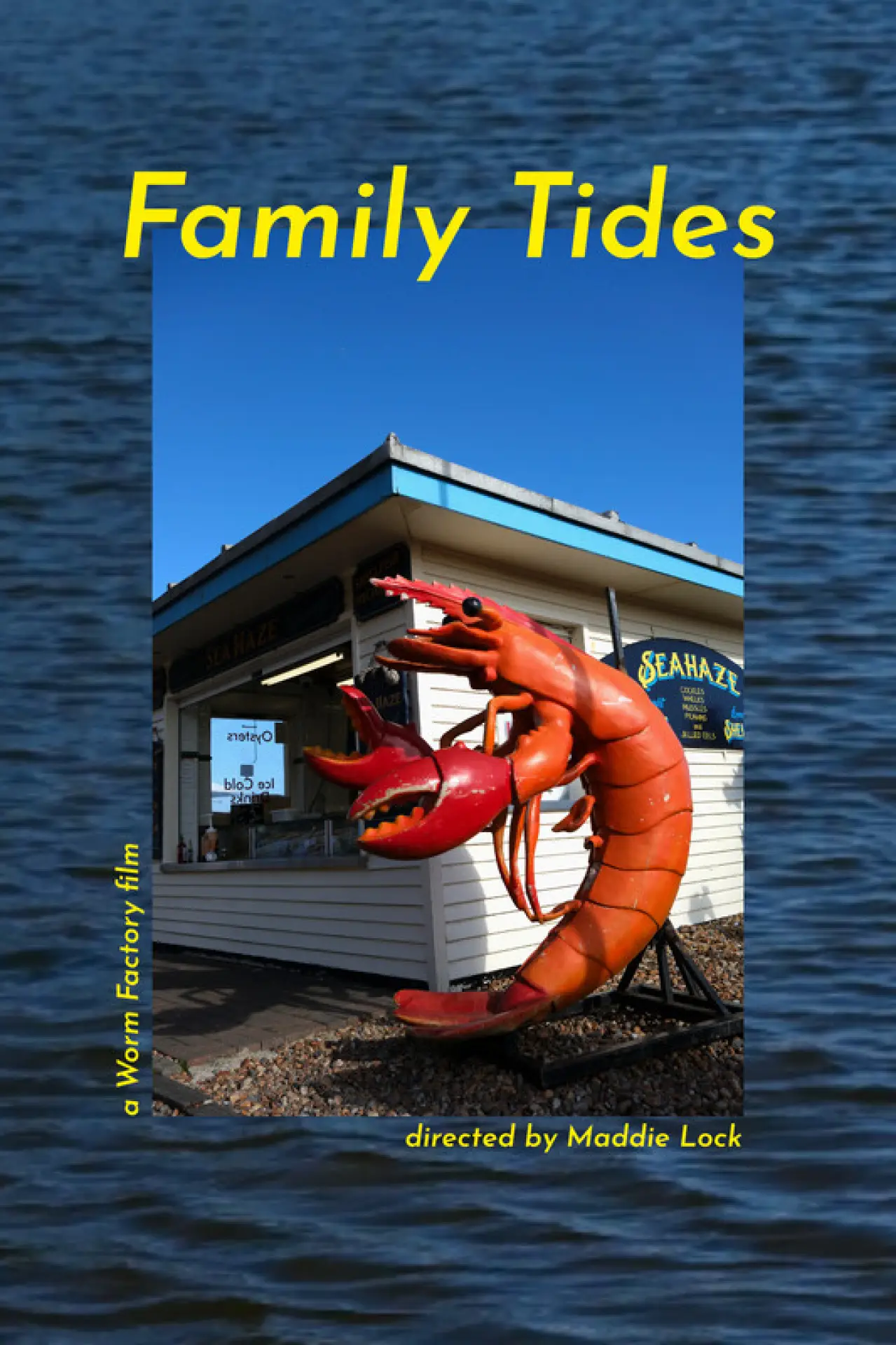 Постер до фільму "Family Tides"
