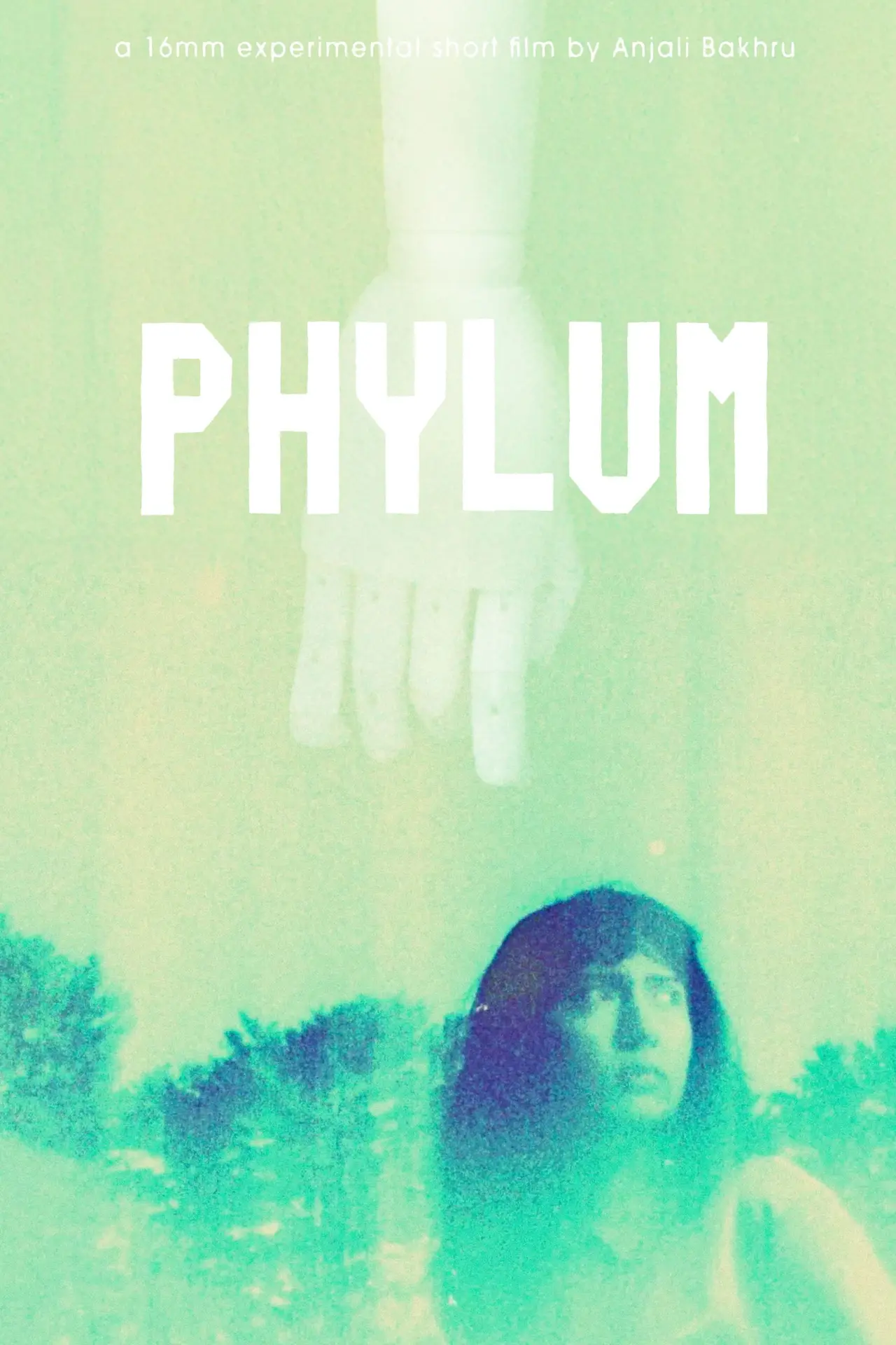 Постер до фільму "Phylum"