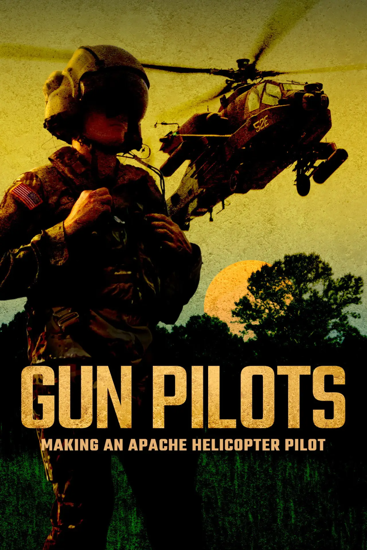 Постер до фільму "Gun Pilots"