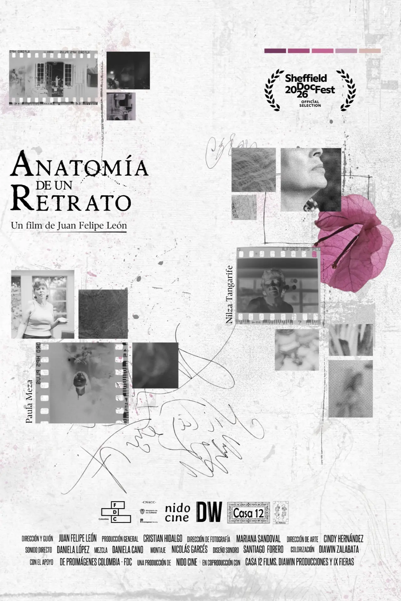 Постер до фільму "Anatomía de un retrato"