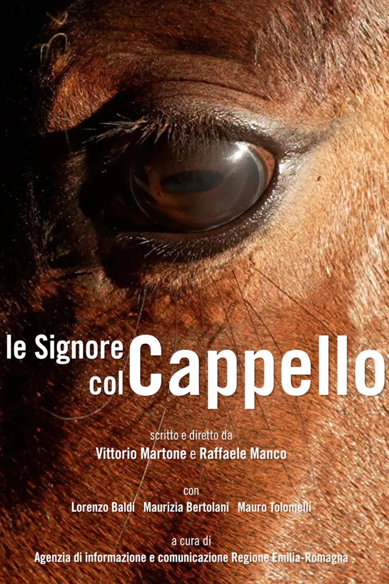 Постер до фільму "Le Signore col Cappello"
