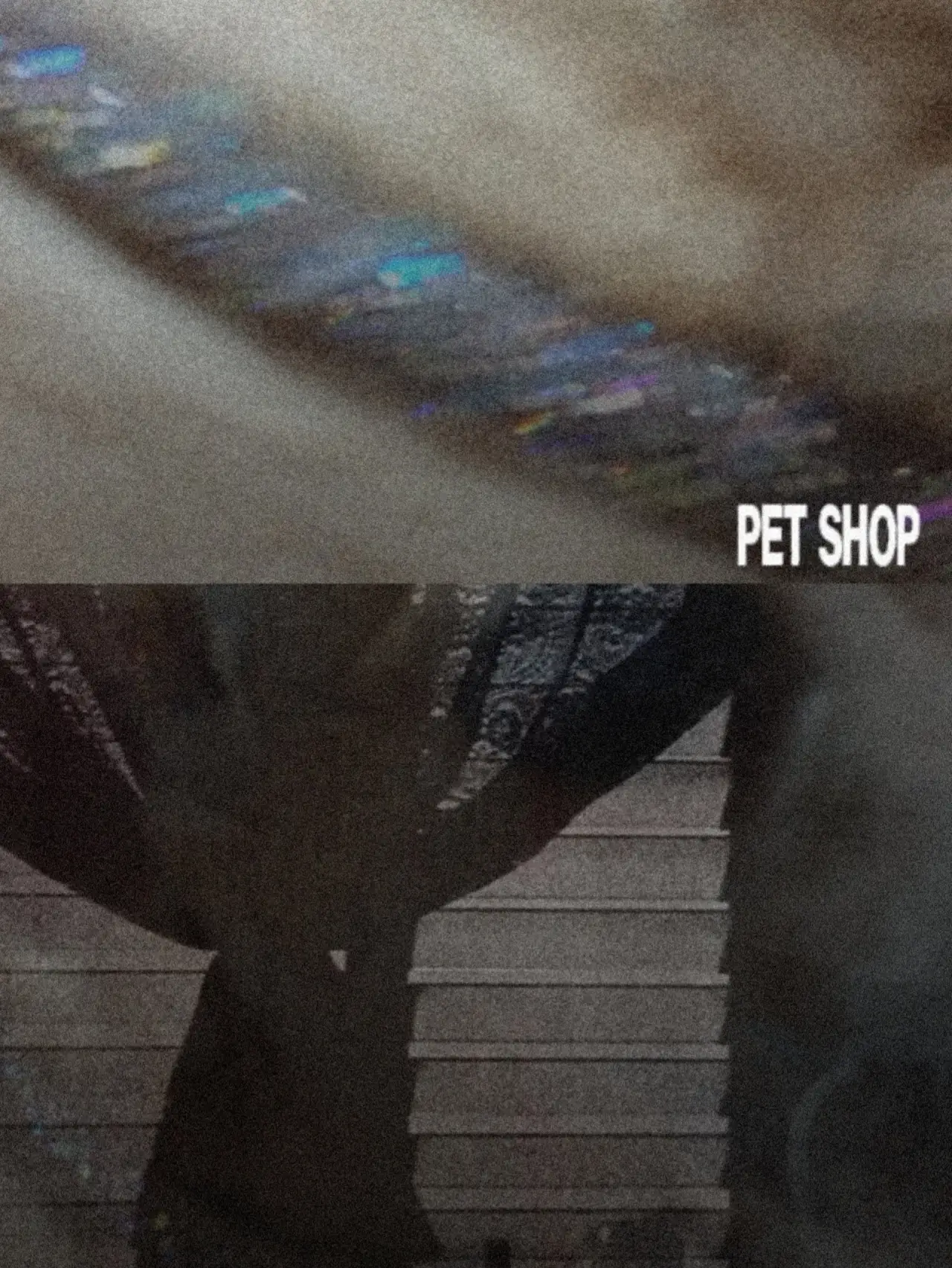 Постер до фільму "Pet Shop"