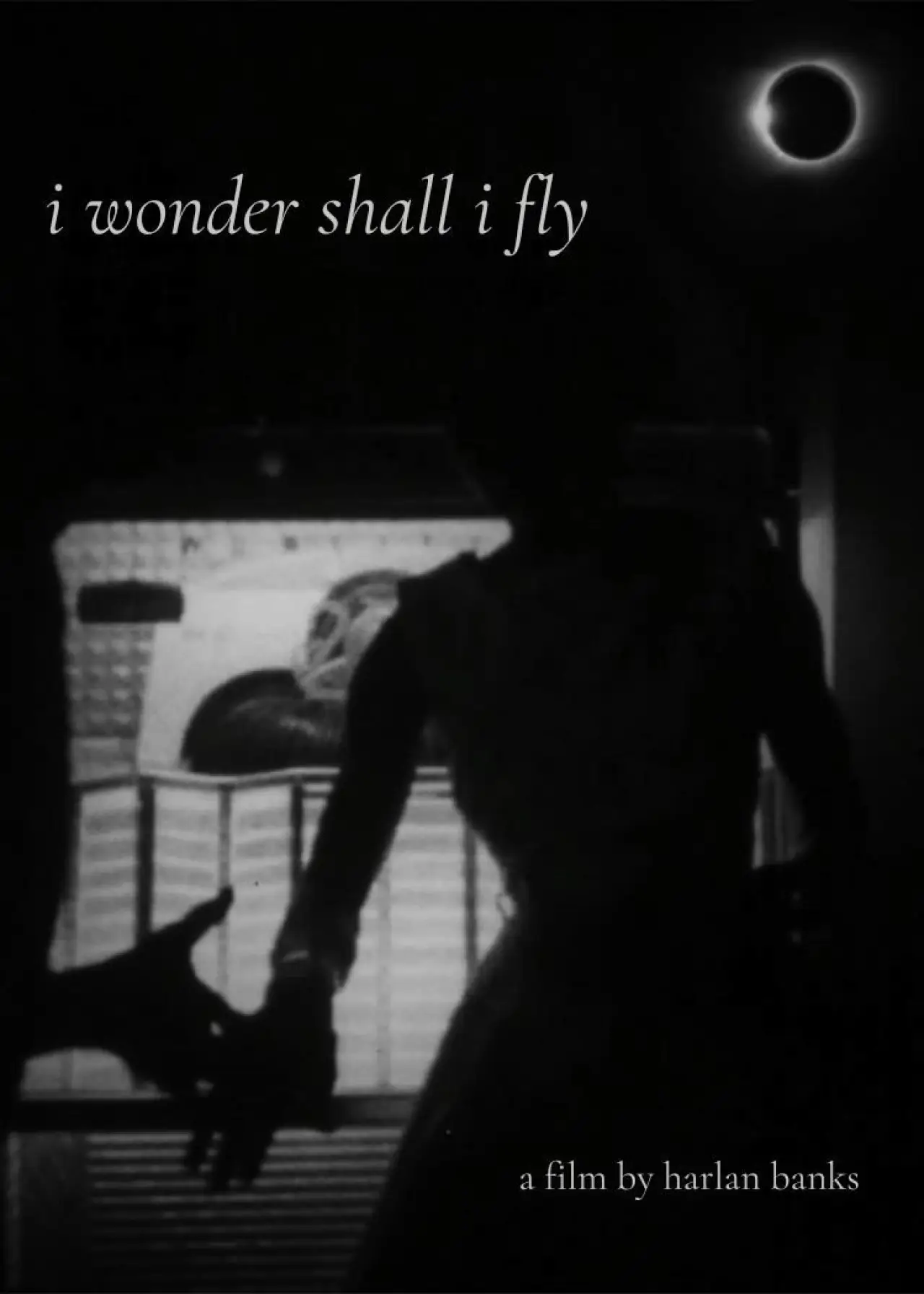 Постер до фільму "i wonder shall i fly"