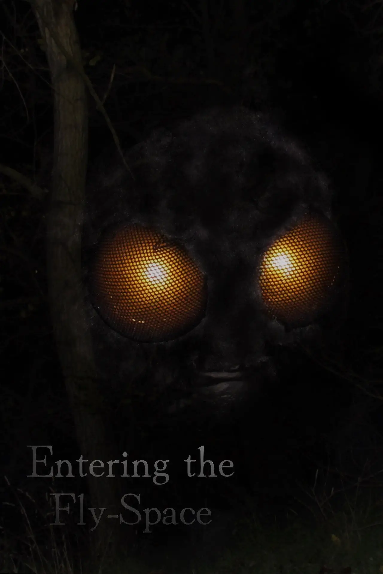 Постер до фільму "Entering the Fly-Space"